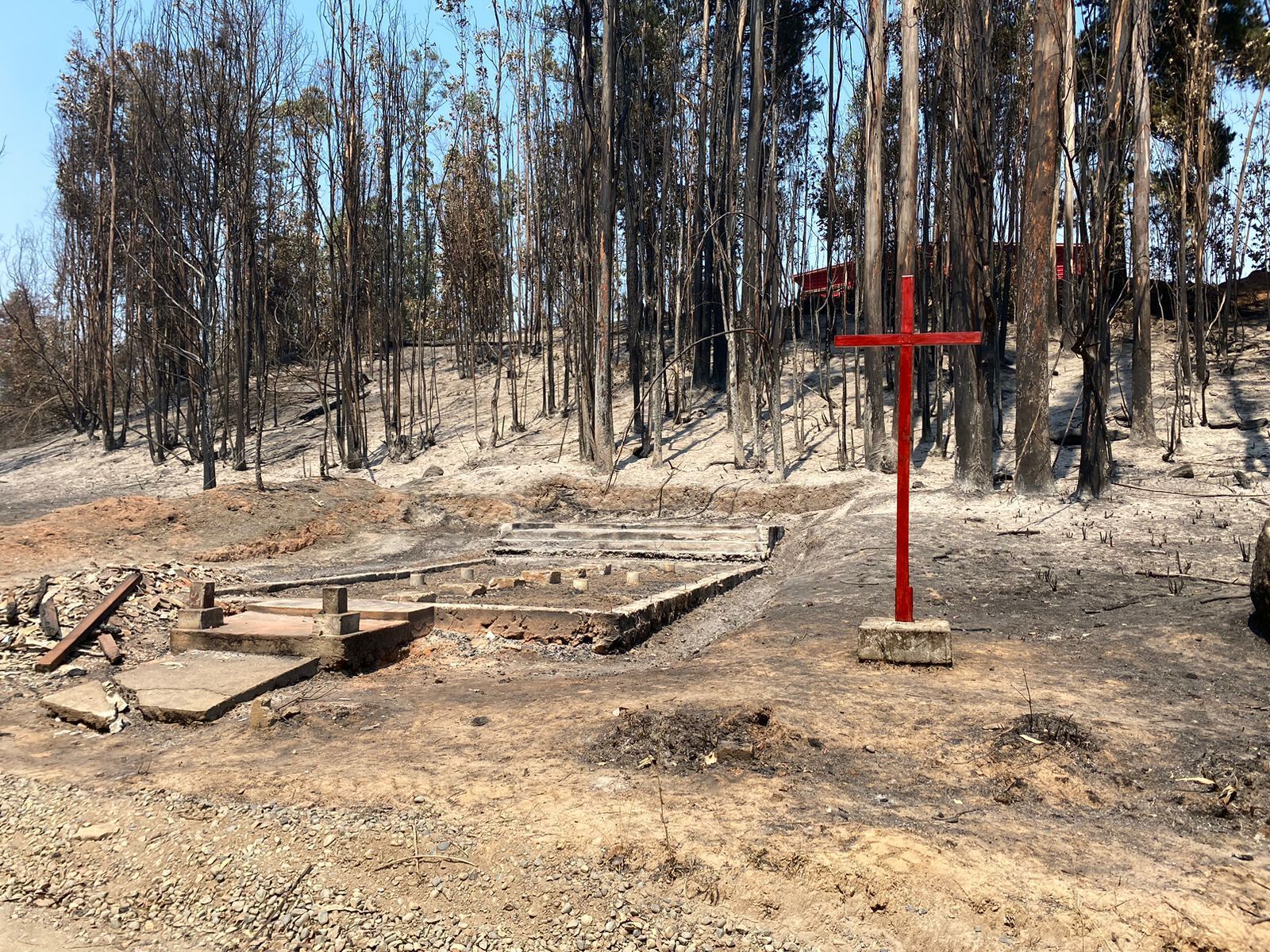 Incendios en Chile: La Resiliencia y Solidaridad Evangelizan para una Iglesia en Salida