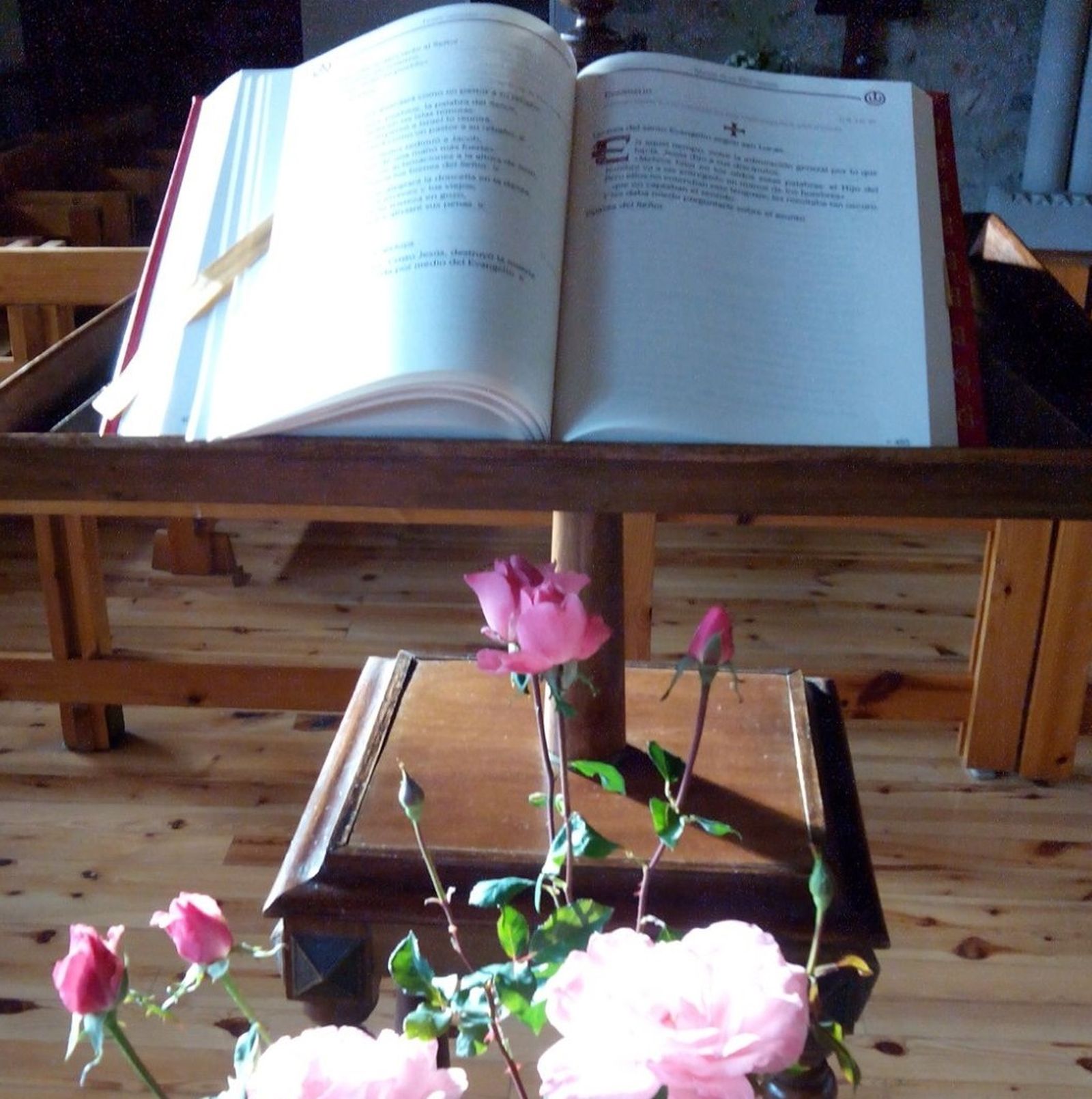 (01) INICIADOS EN EL CONOCIMIENTO DE LA PALABRA