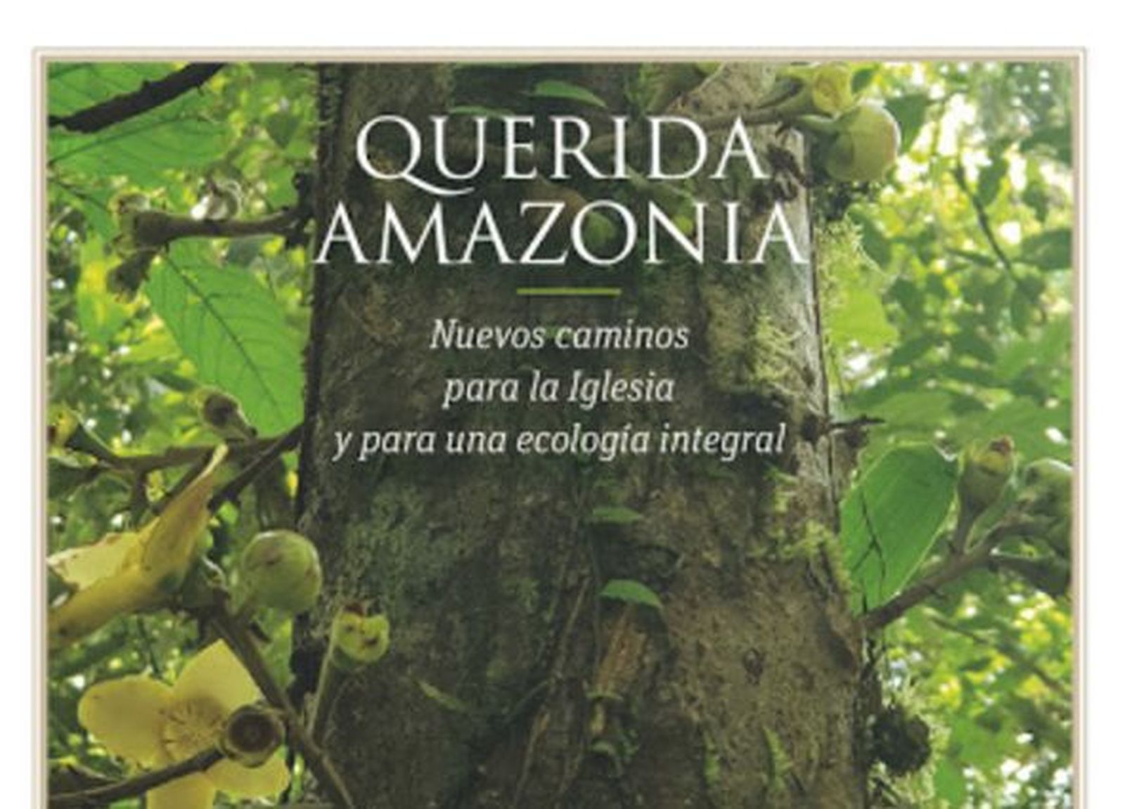 Portada del libro editado por PPC