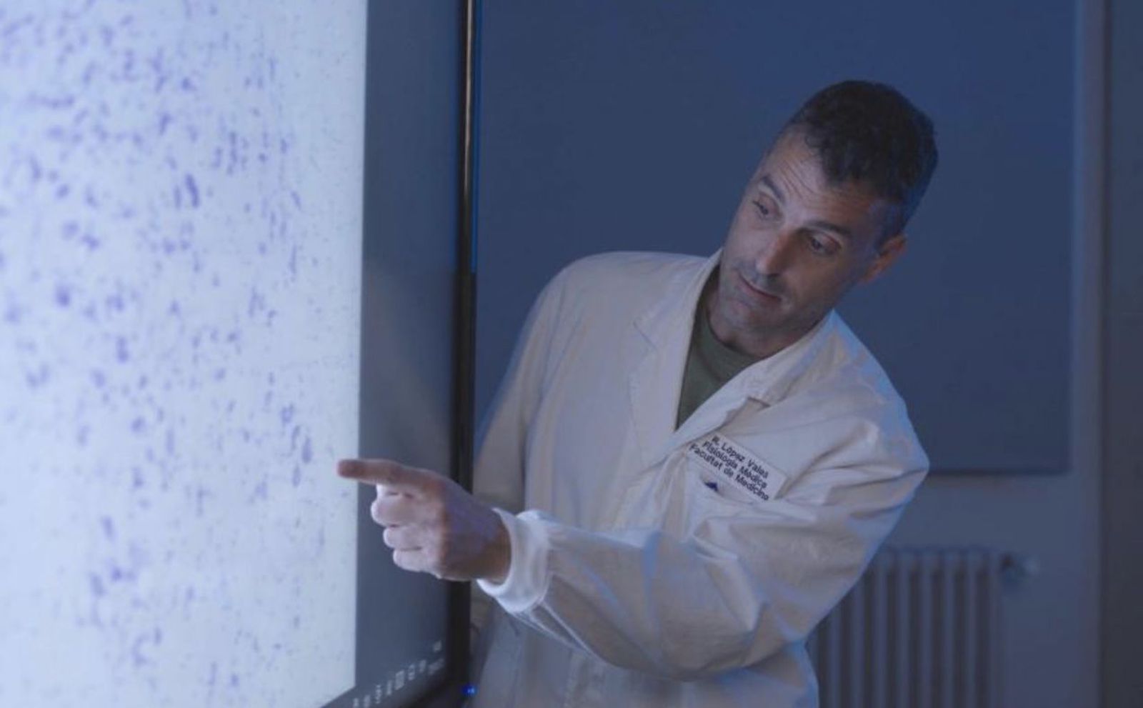 Rubèn López Vales lidera el grupo de Investigación de Neuroplasticidad y Regeneración de la Universitat Autònoma de Barcelona