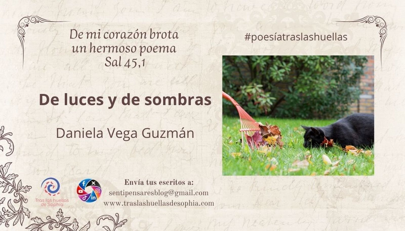 De luces y de sombras