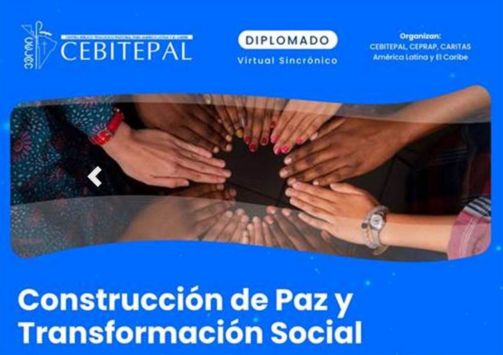 Diplomatura CEBITEPAL