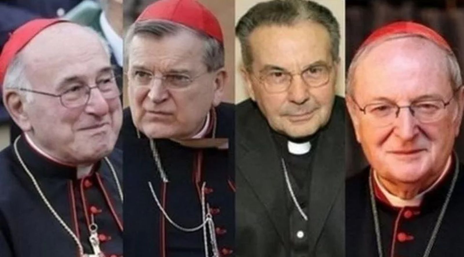 Cardenales de los dubia