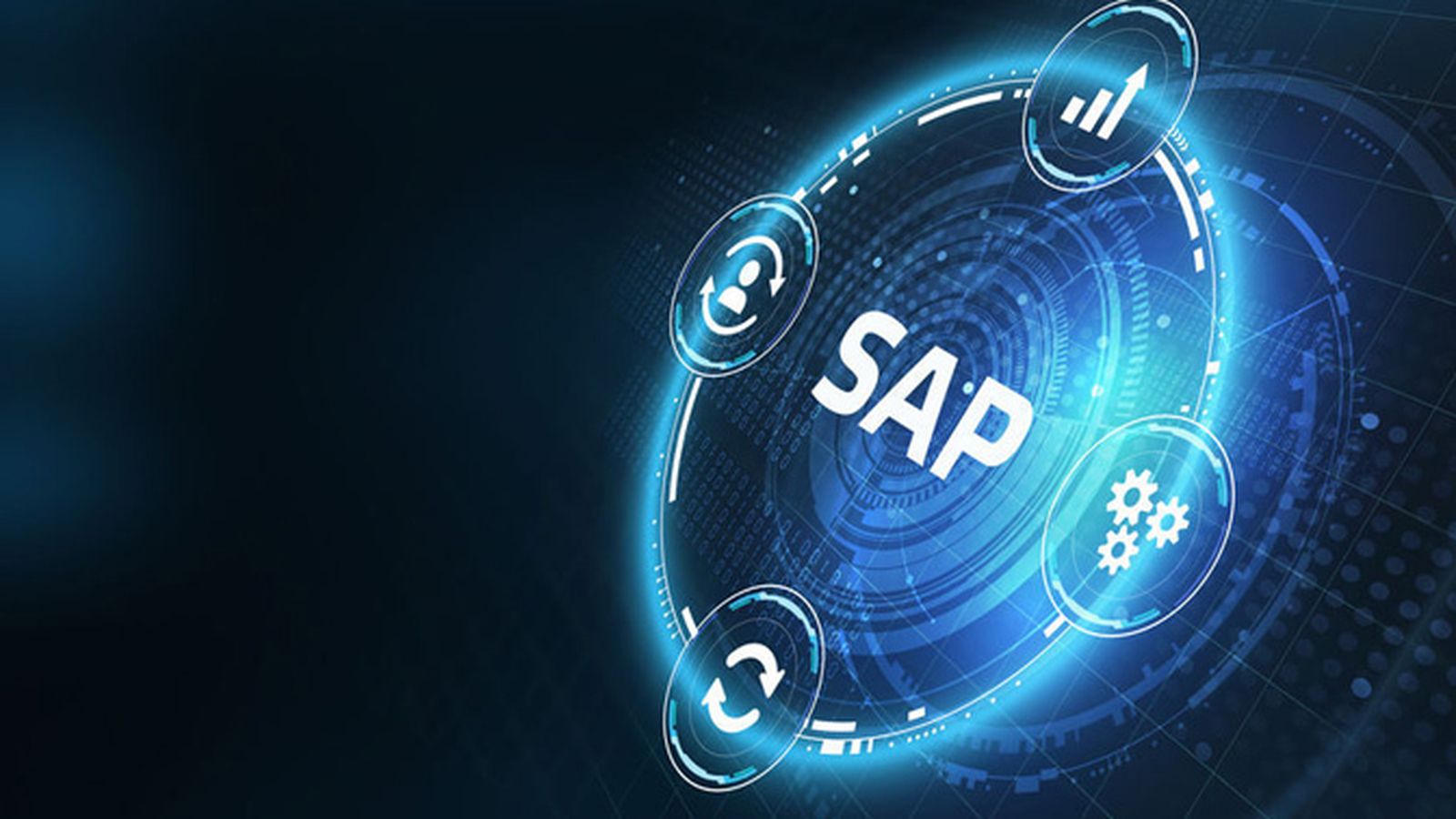 Programa SAP University Alliance