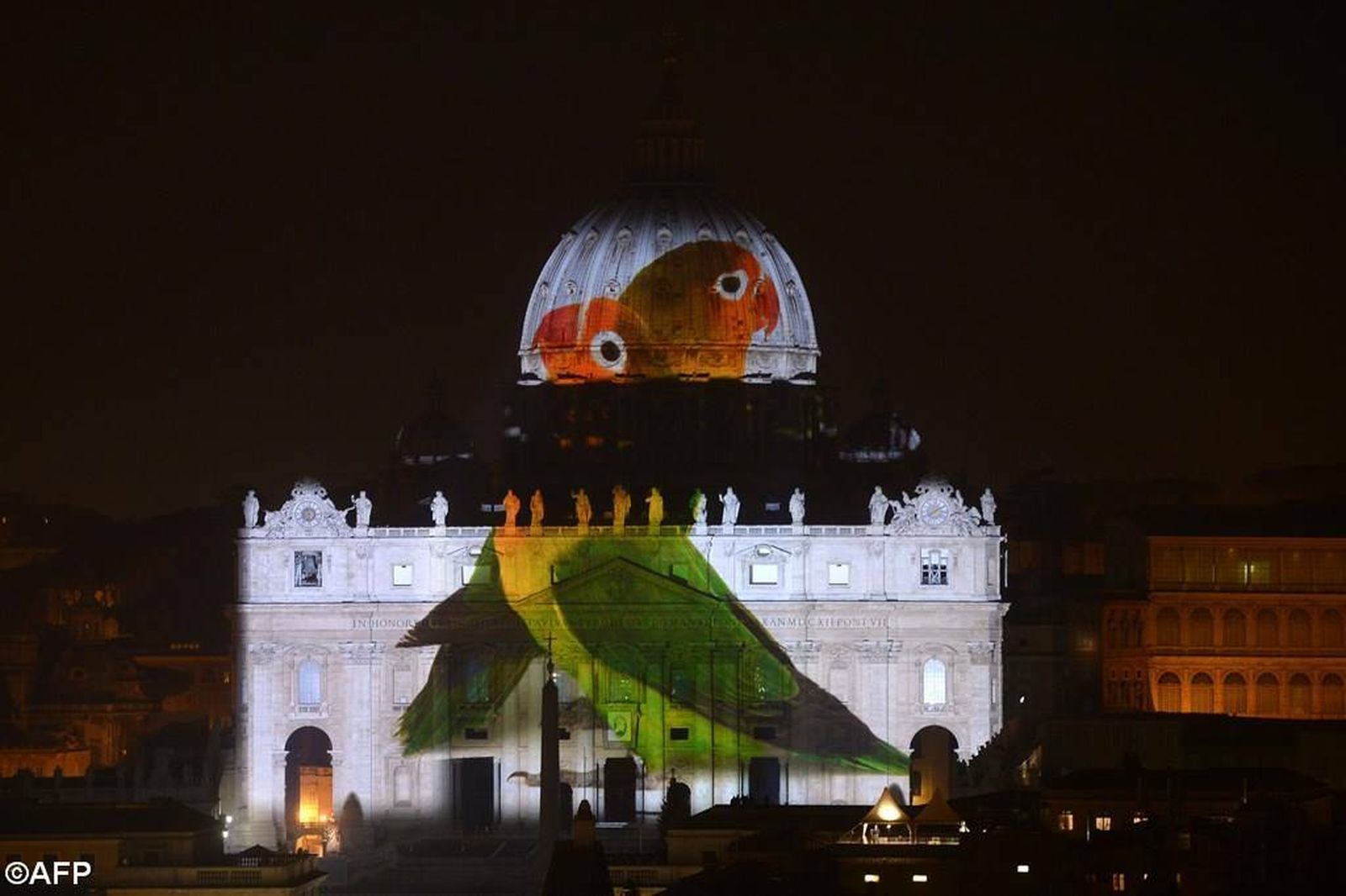 Cacatúas en el Vaticano