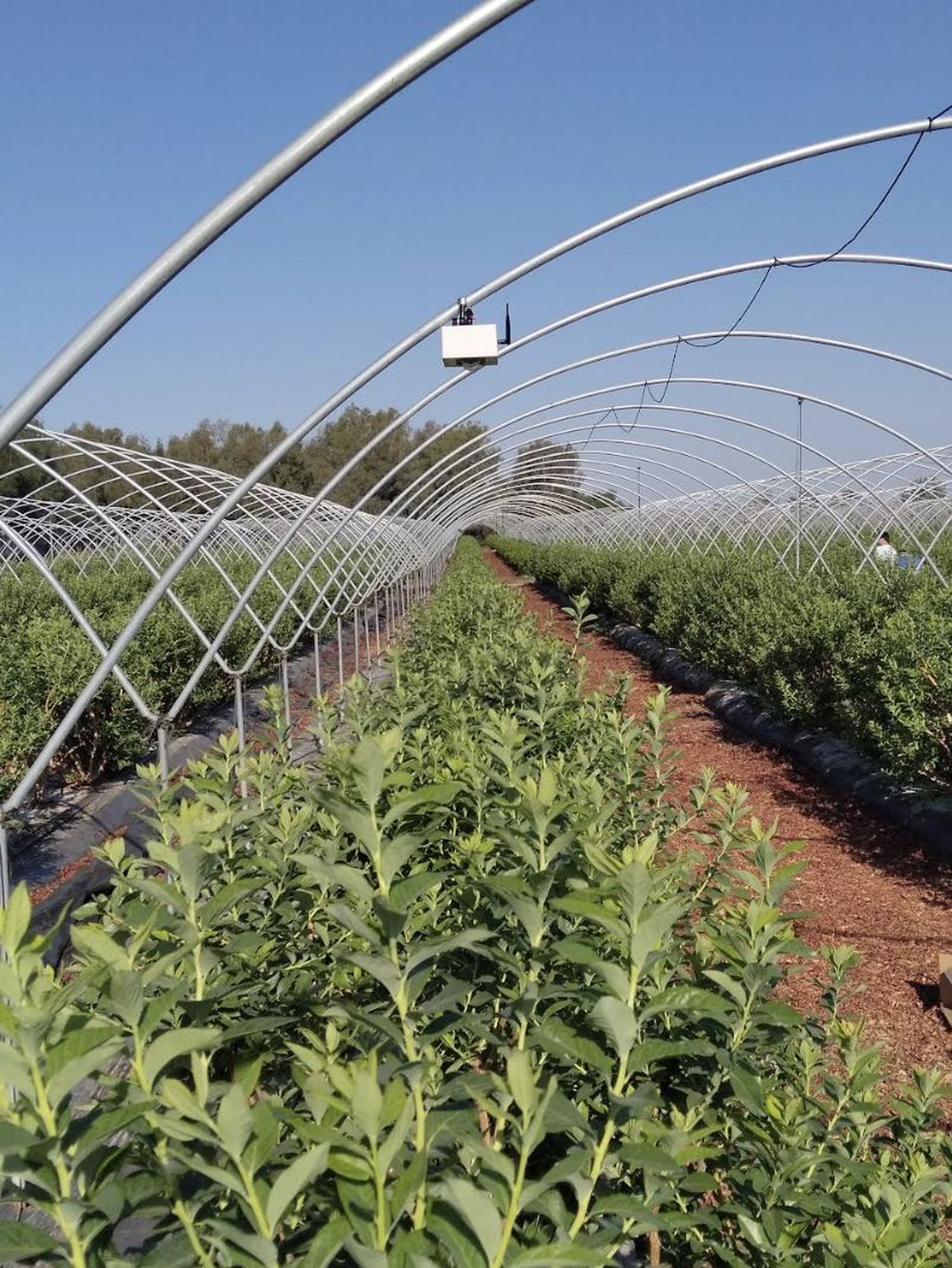 Proyecto de la Universidad Loyola