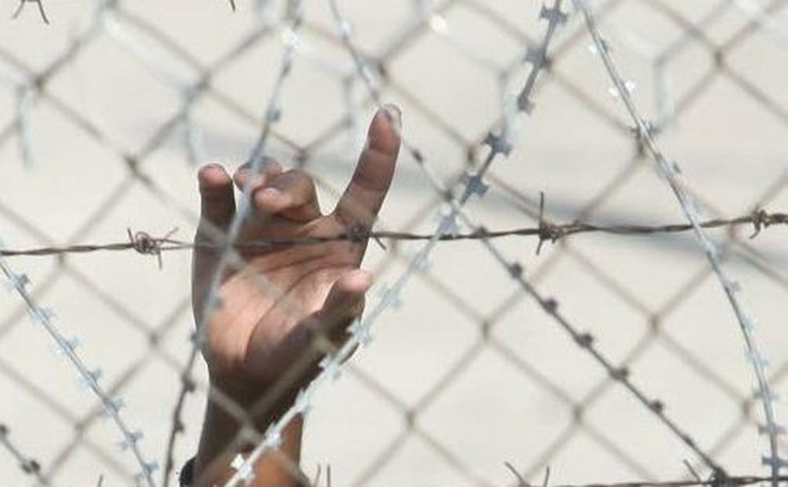 No a las concertinas