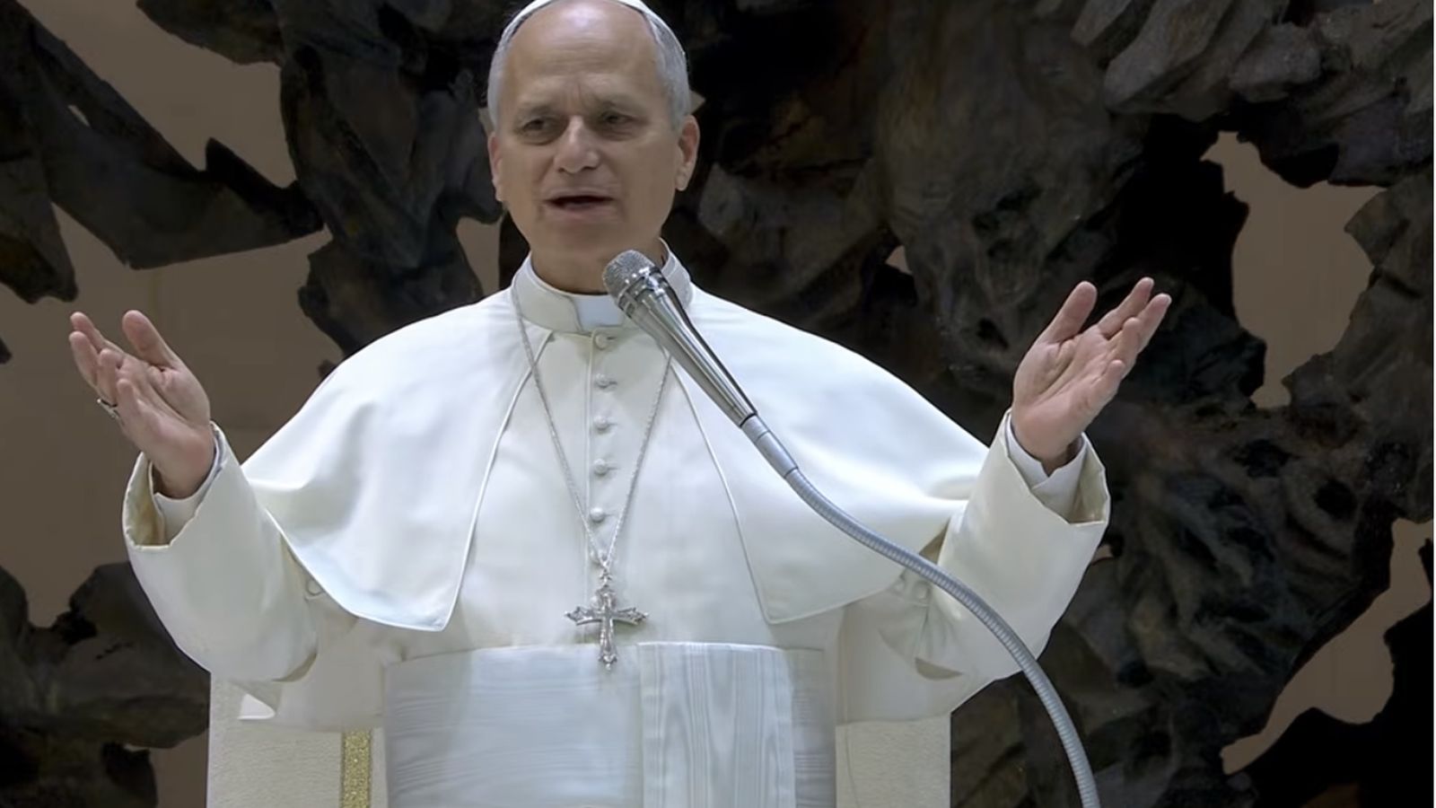 El Papa, en la audiencia