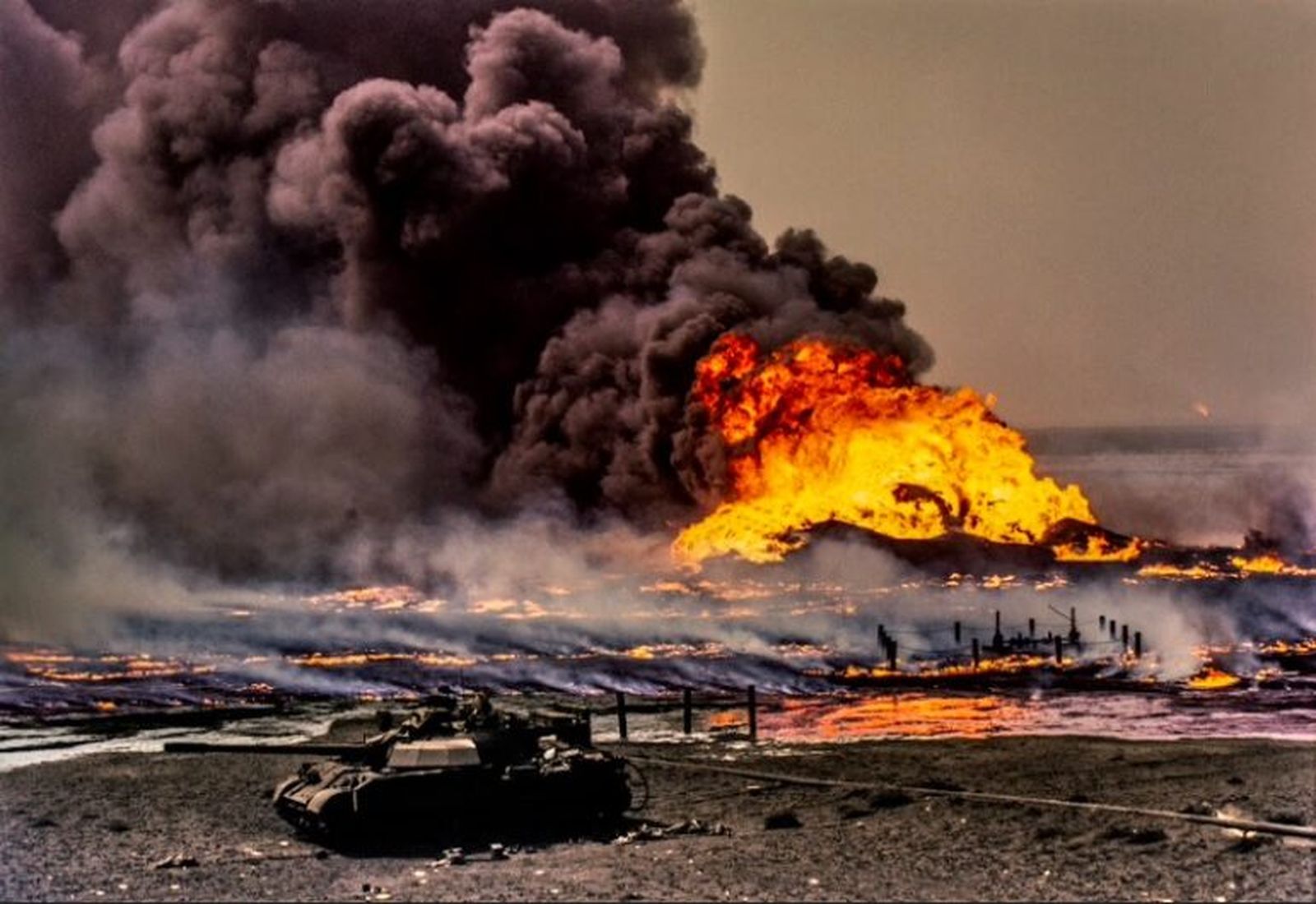 Coste humano y ambiental de la guerra