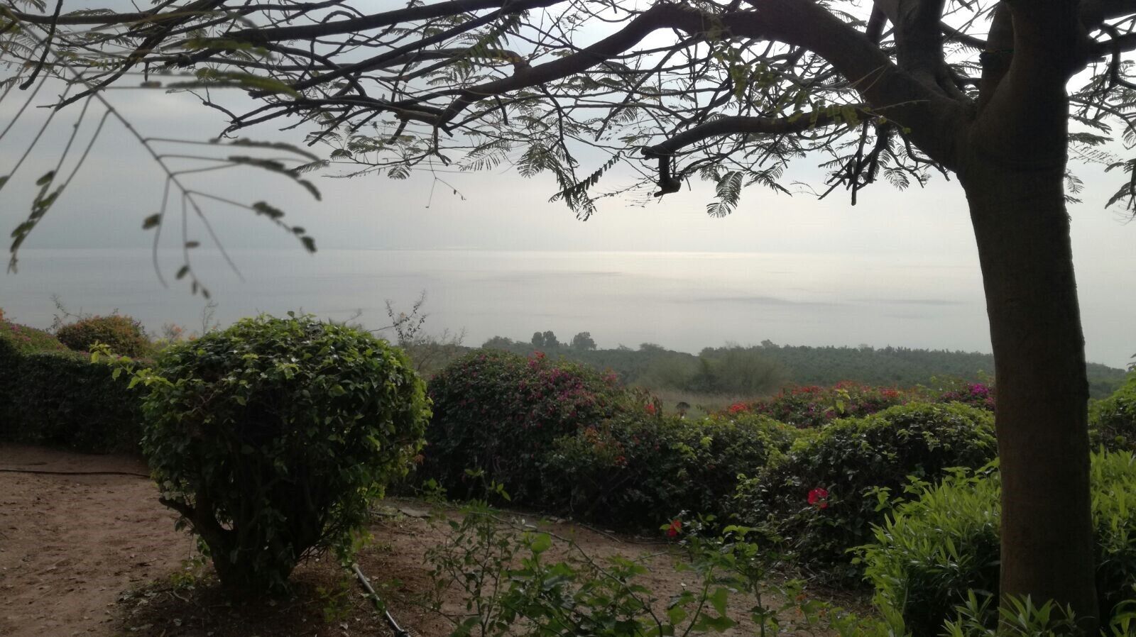 El Cuarto Evangelio (19)