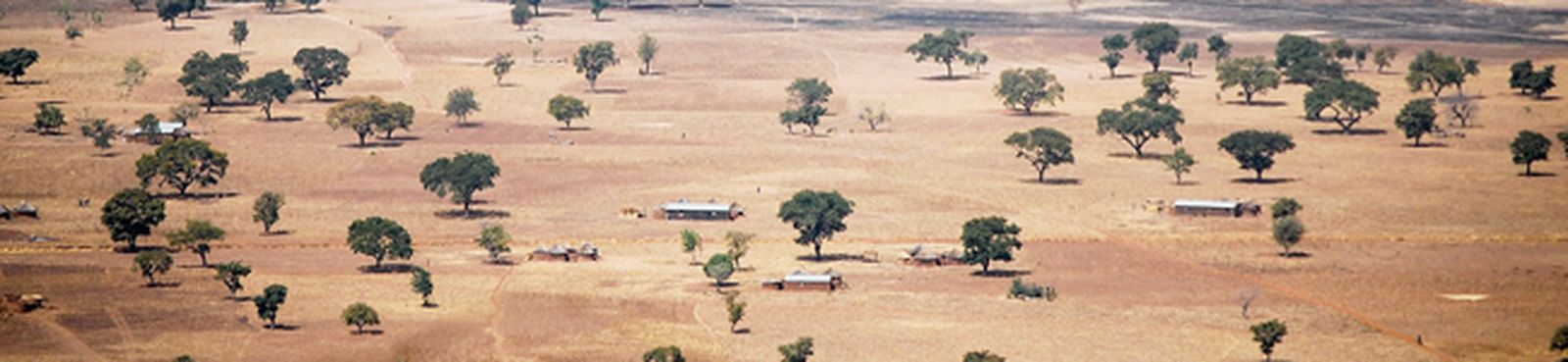 bach-scott-aria-bwv68