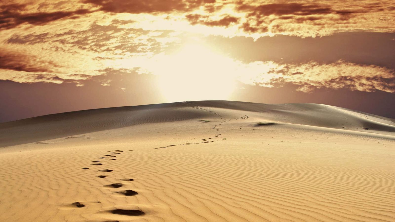 Camino