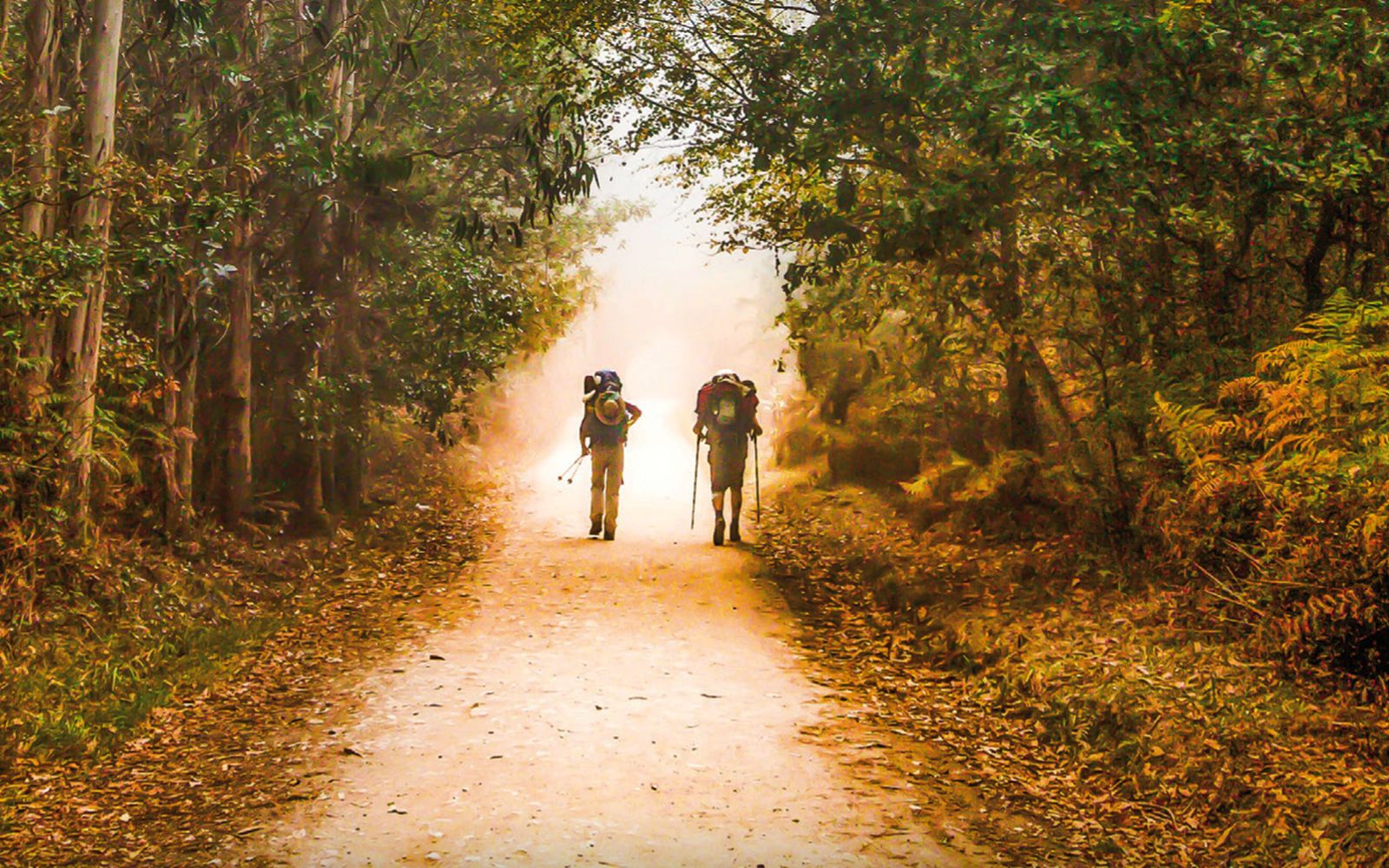 Demasiado vulgar para ser tan trascendente