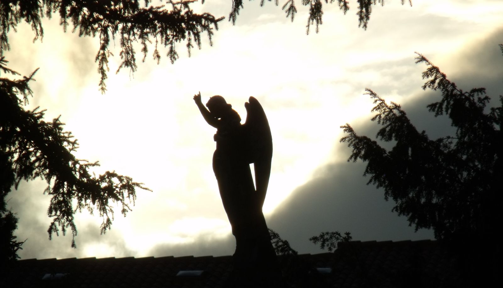 “El Vicario general” de Vitoria es el último “cebo” usado por los estafadores