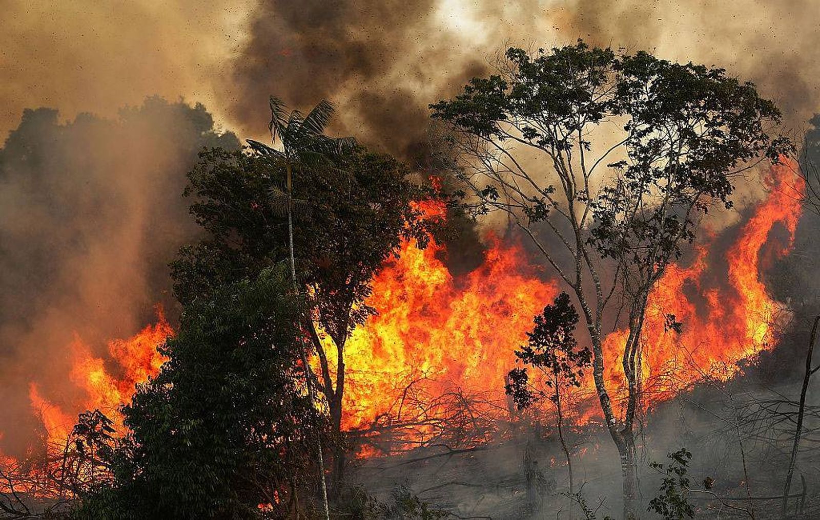 Incendios en la Amazonía brasileña