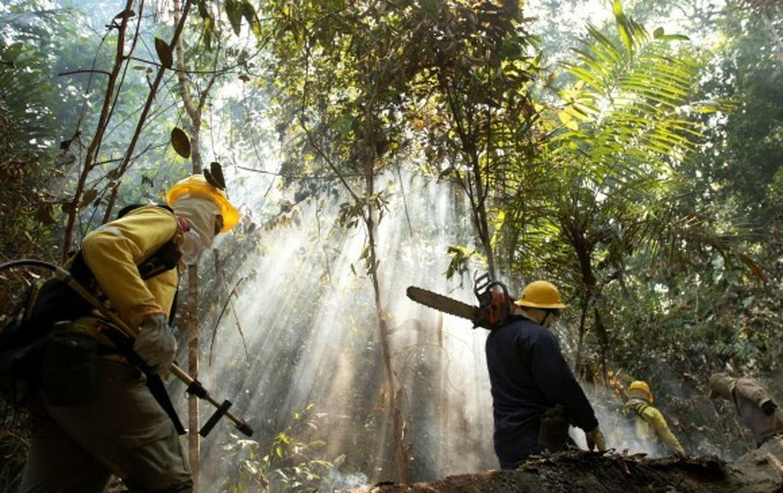 Proteger al Amazonas