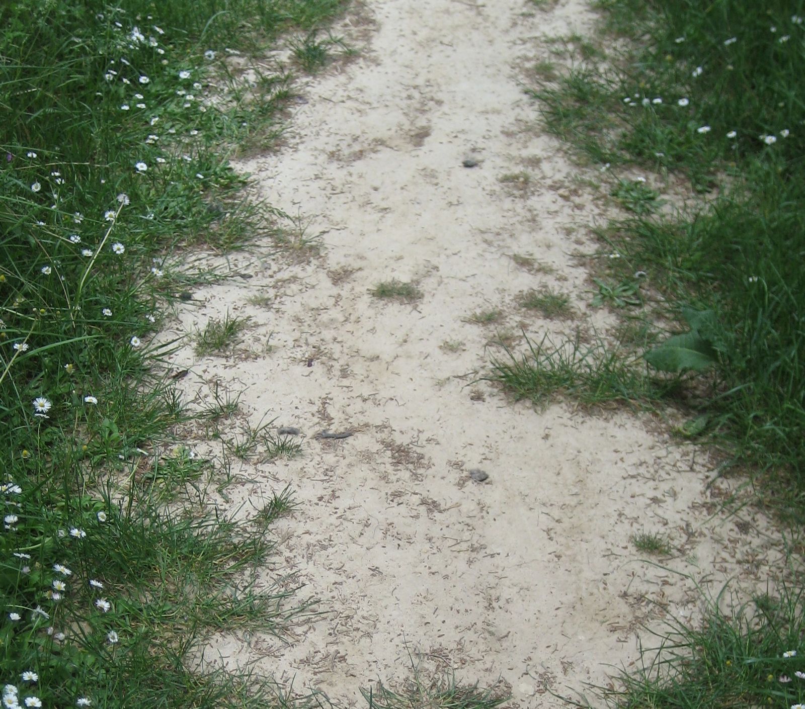 27 de May: Mes de María