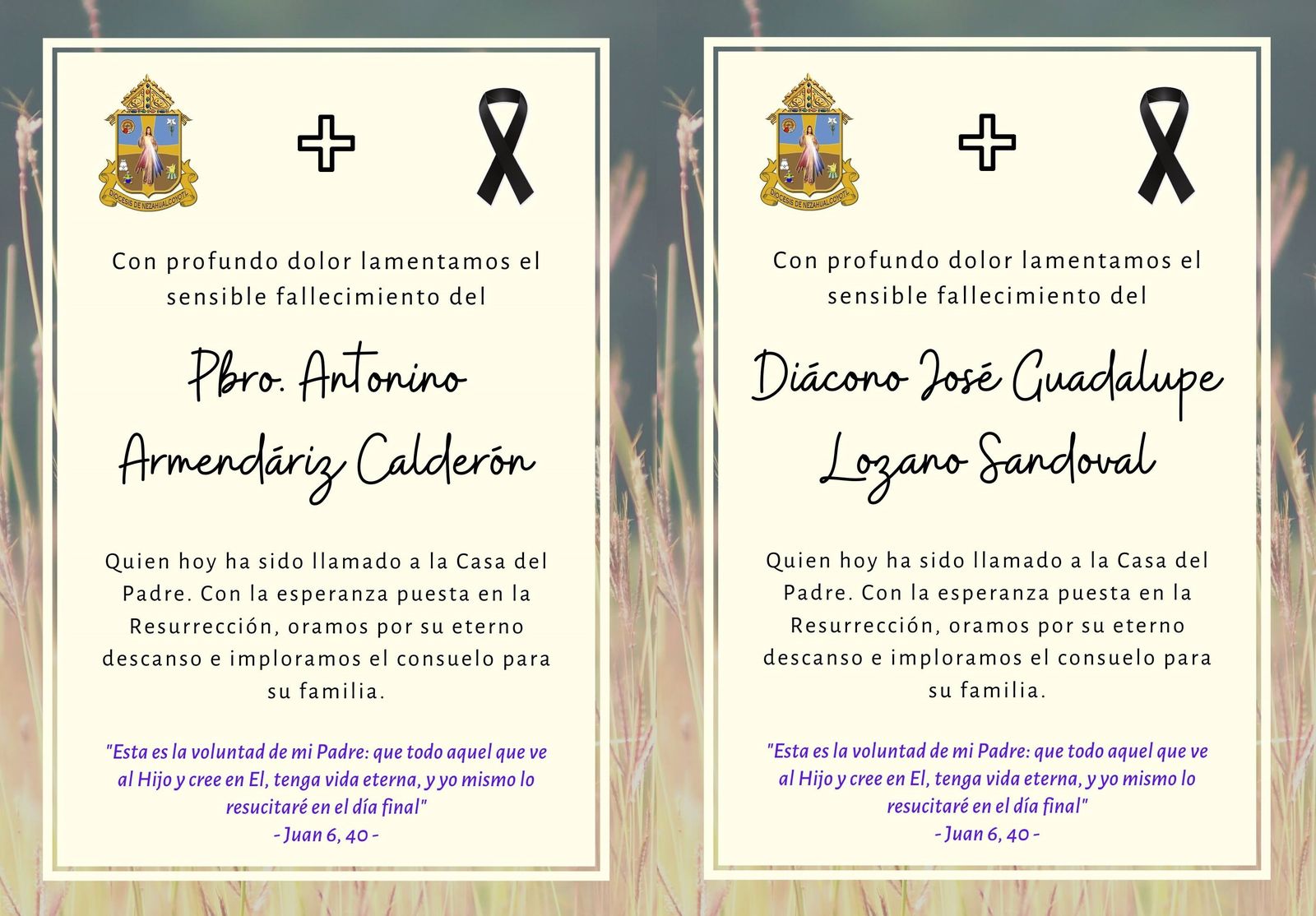 Diócesis de Nezahualcóyotl lamenta muerte de sacerdote y diácono por coronavirus