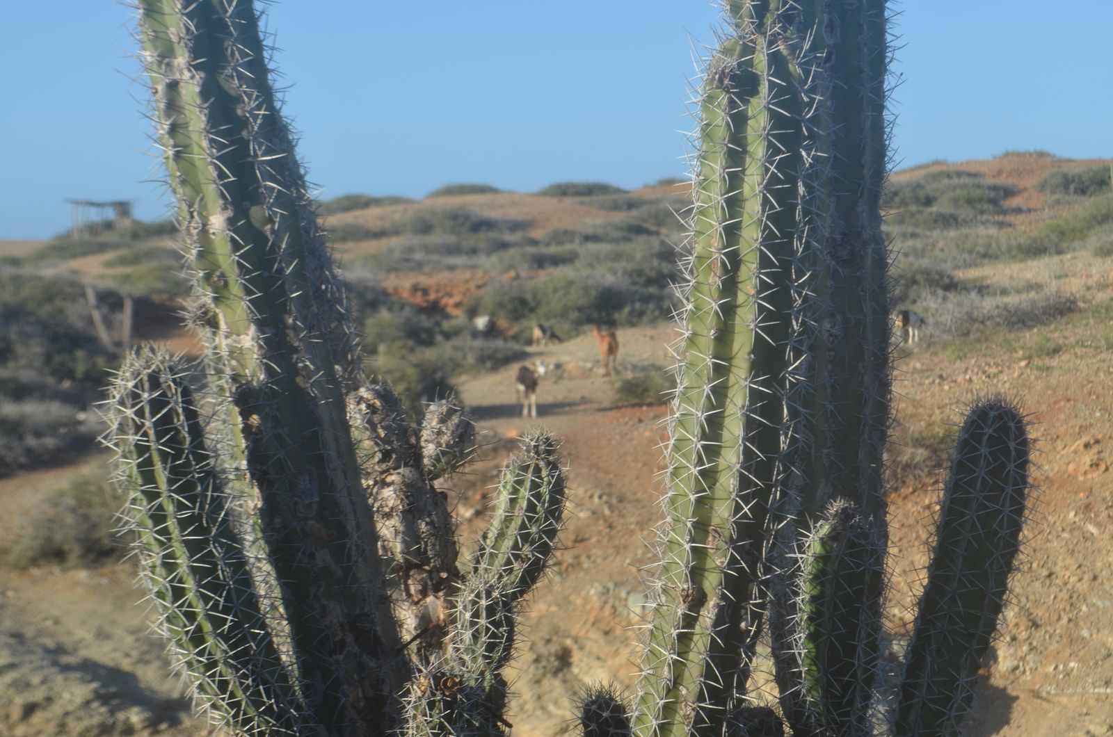 Jesús vence las fuerzas del anti-reino e inicia el Reino de Dios para los pobres de la tierra