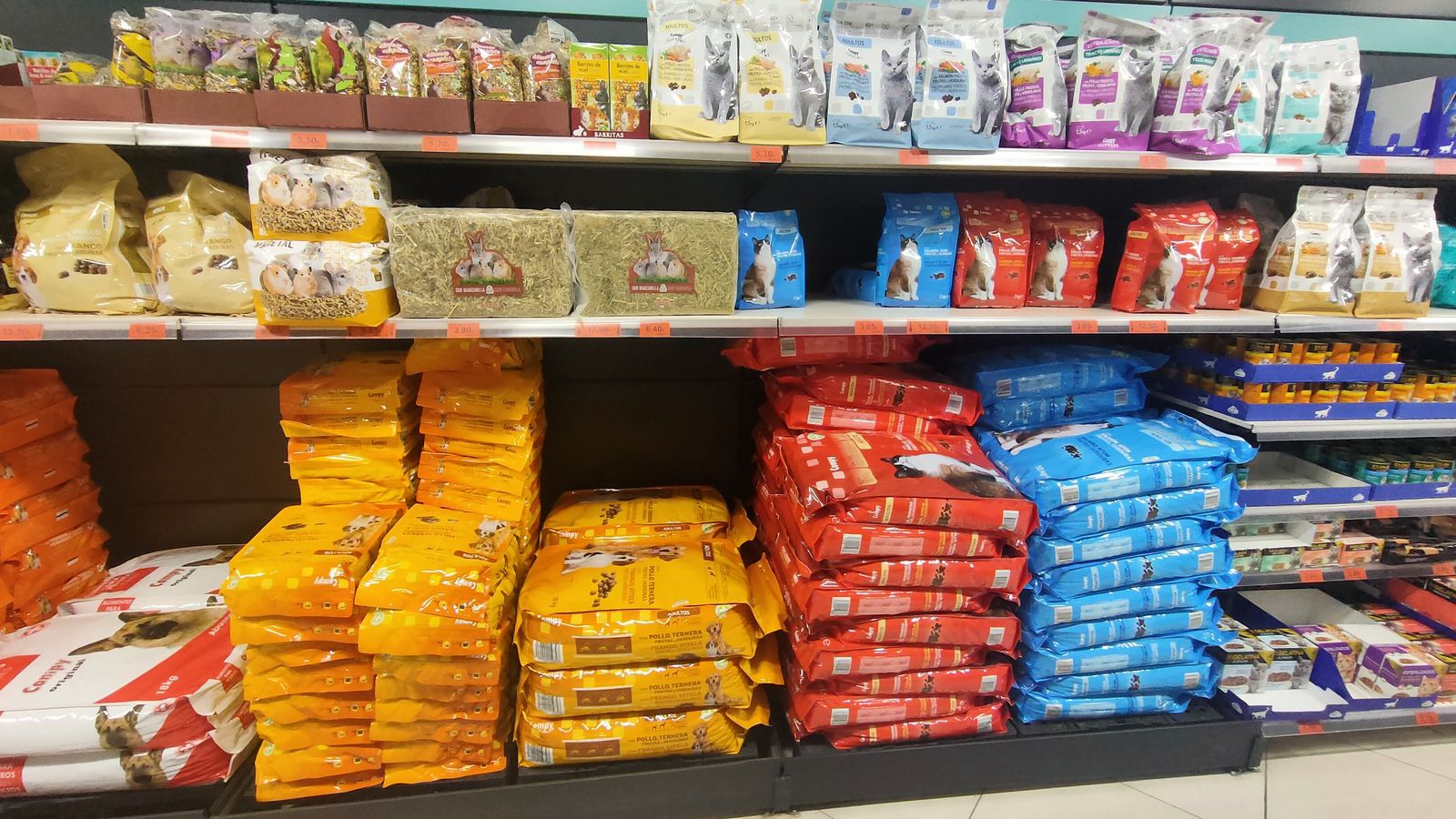 Una sociedad de perros y gatos (y otros animales de compañía)