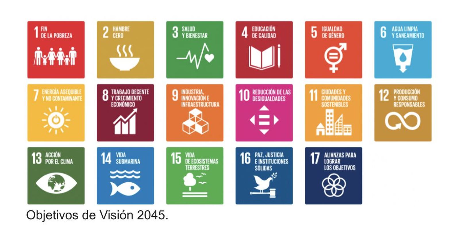 Objetivos de Visión 2045