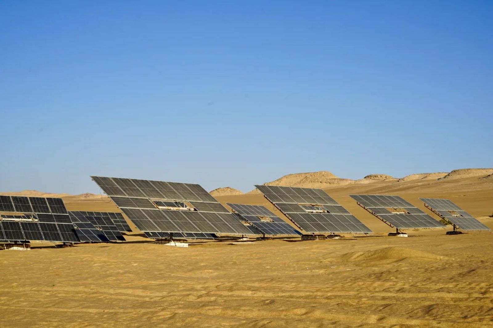 Paneles solares en el Proyecto de Wahat de SEKEM, que impulsan la agricultura sostenible en el corazón del desierto