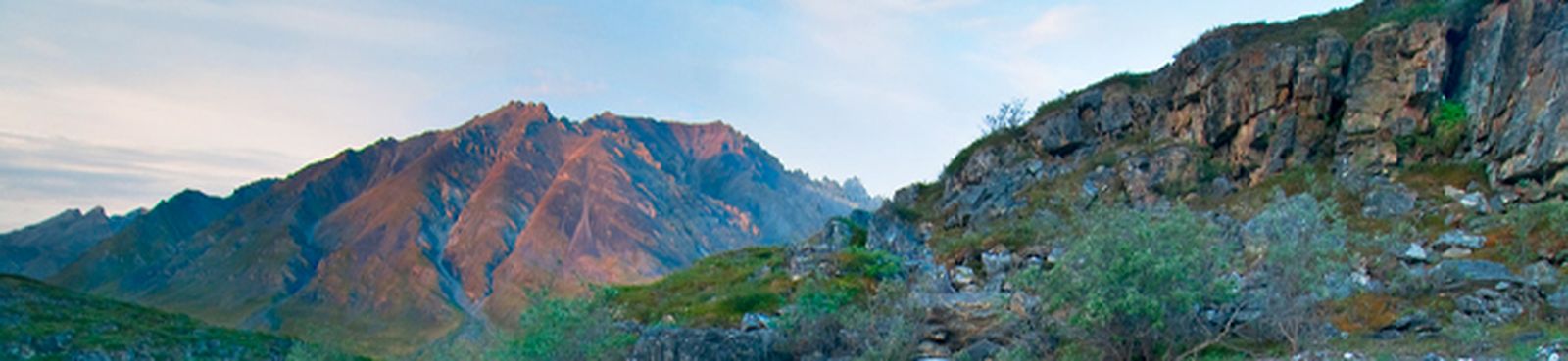 bach-thieriot-sonata-bwv525