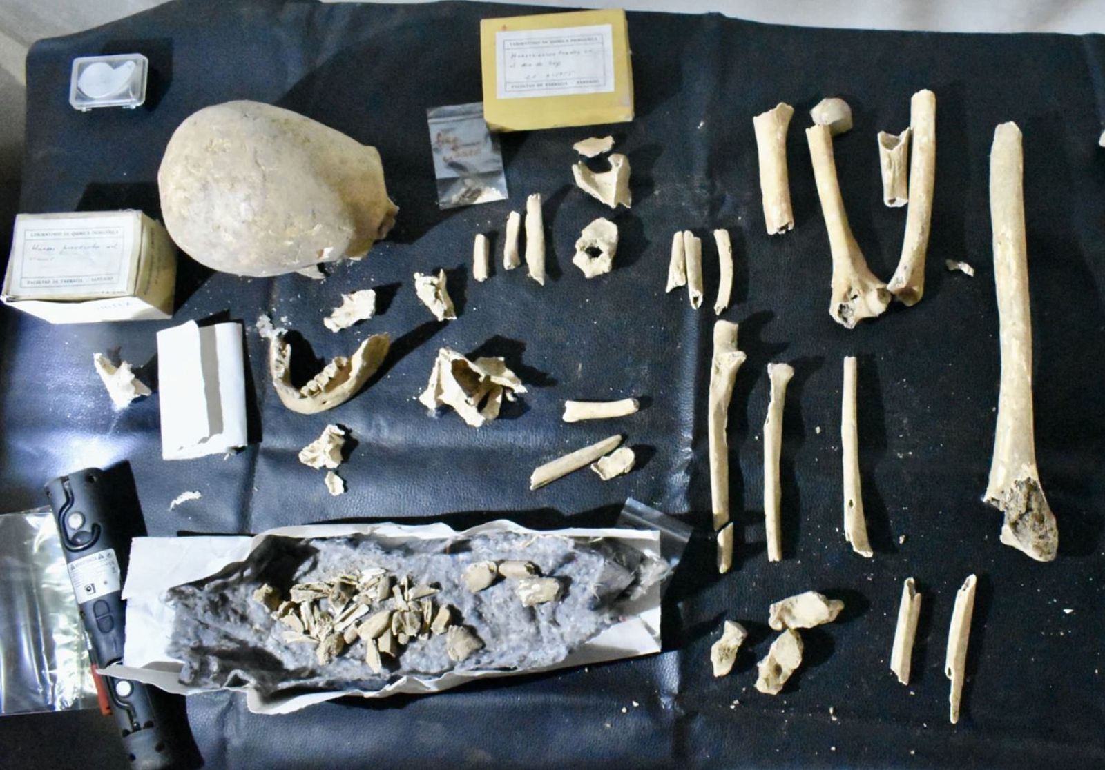 Identificados los restos de Teodomiro, el obispo que descubrió la tumba de Santiago en Compostela