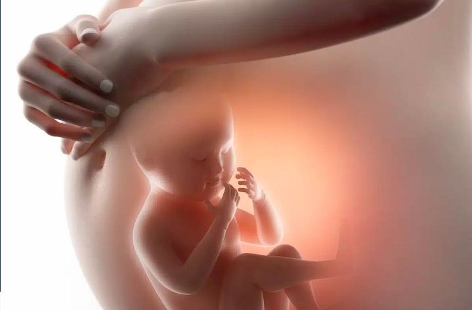 Arquidiócesis de México afirma que aborto total en CDMX es una ley innecesaria e injusta para la mujer