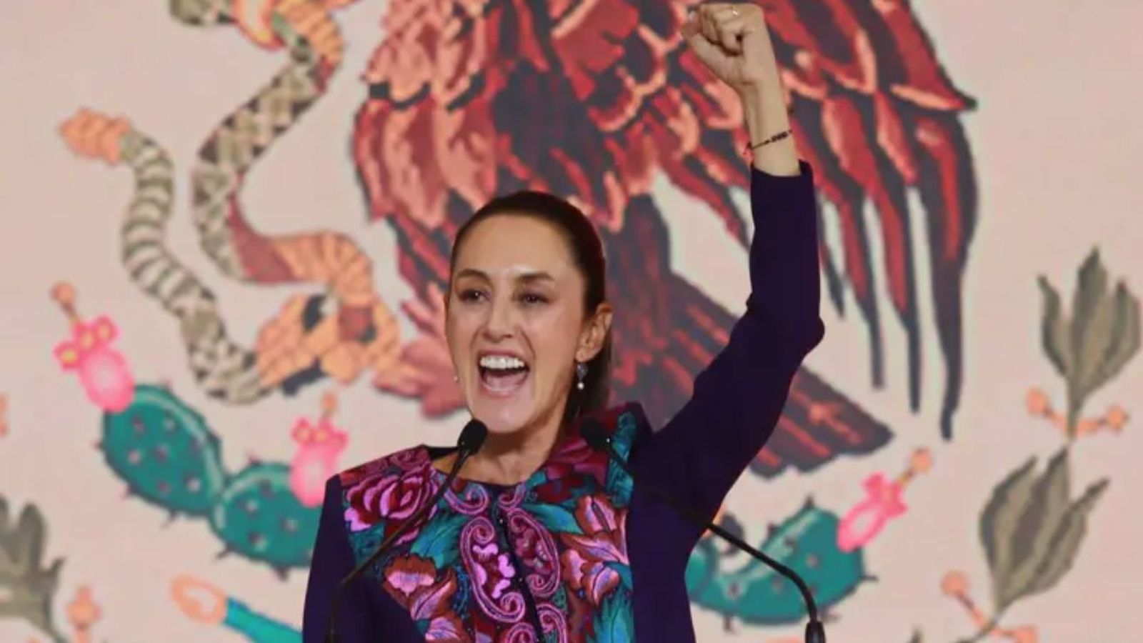 Claudia Sheinbaum Pardo