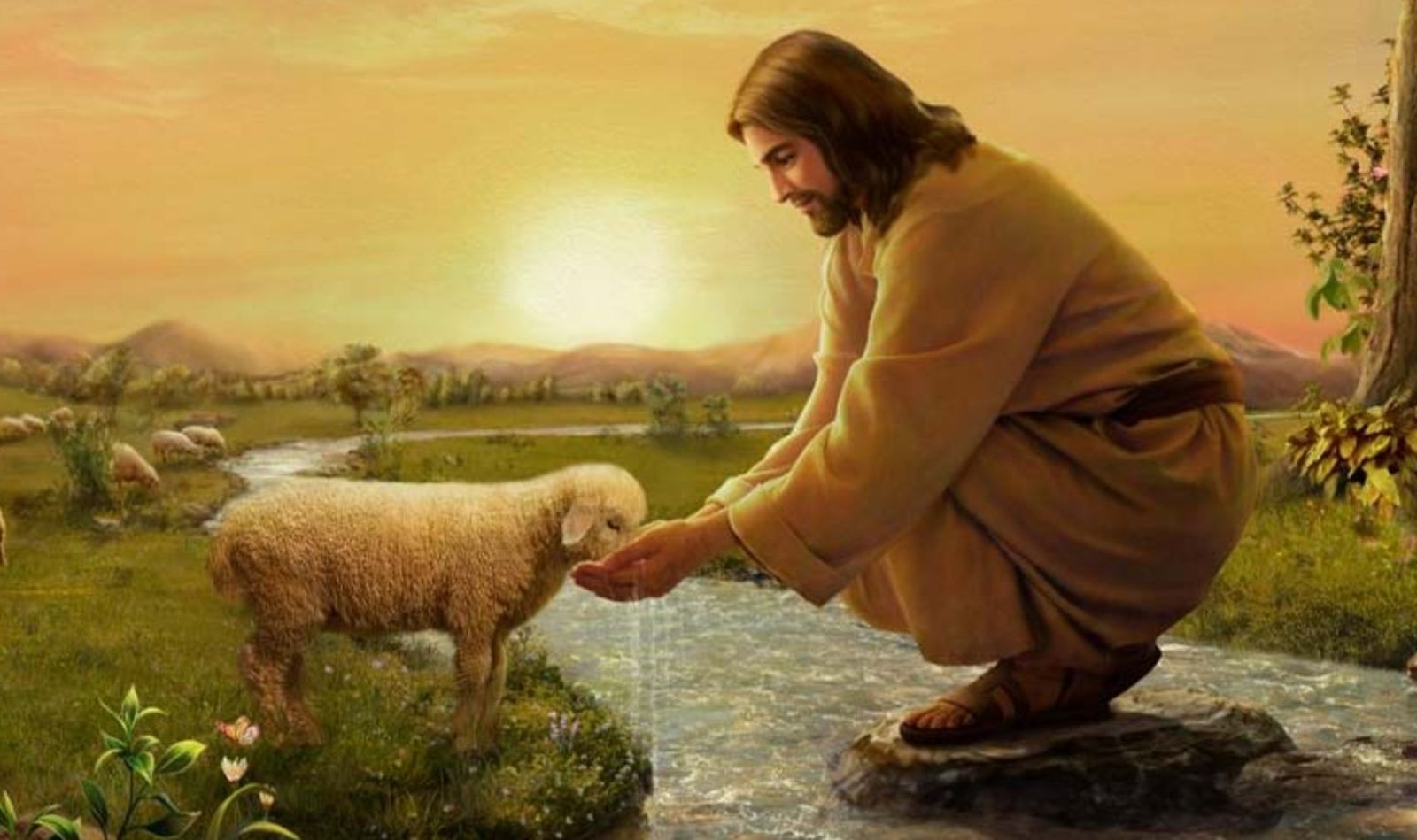 Ser como el Buen Pastor en el ministerio de la evangelización que se nos ha confiado