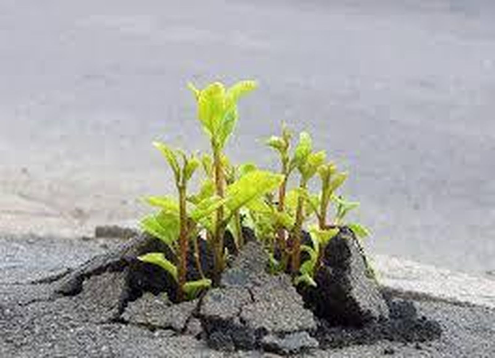 Abriendo los ojos a una nueva realidad (Jn 9)