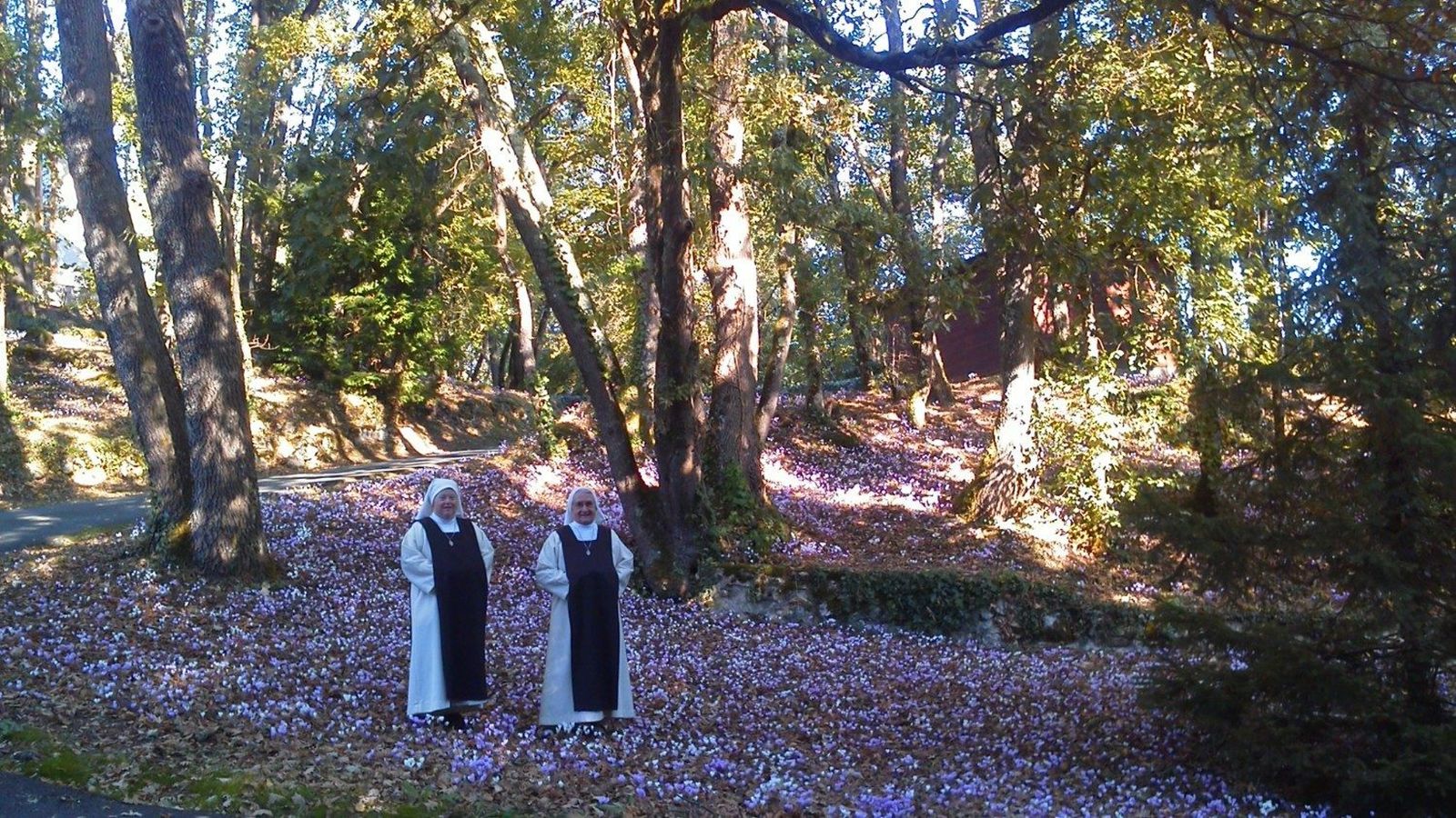 Las pioneras de esta comunidad