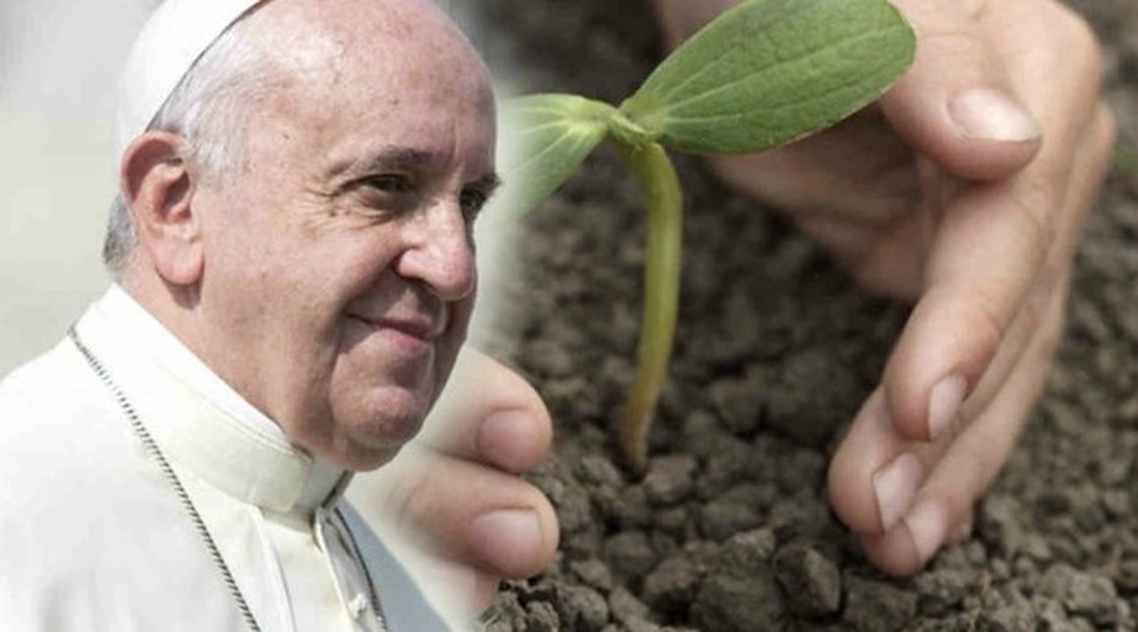 Pensamiento social, ética y pecado ecológico