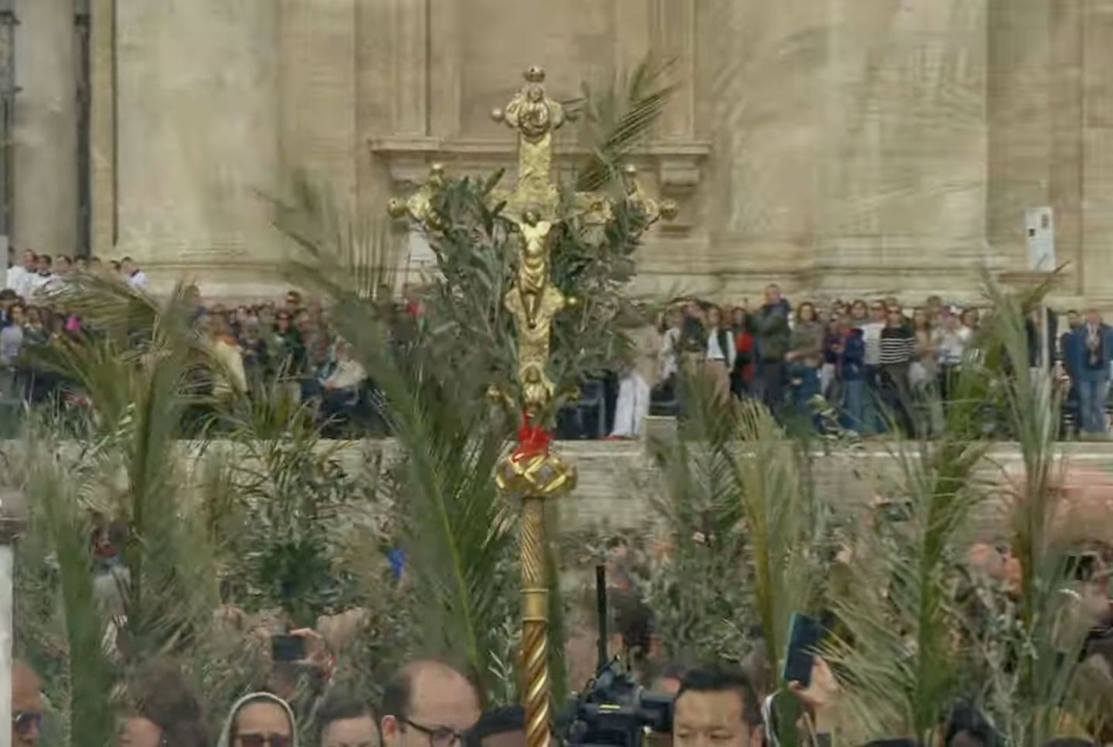 Procesión de las palmas y ramos de olivo en la plaza de San Pedro