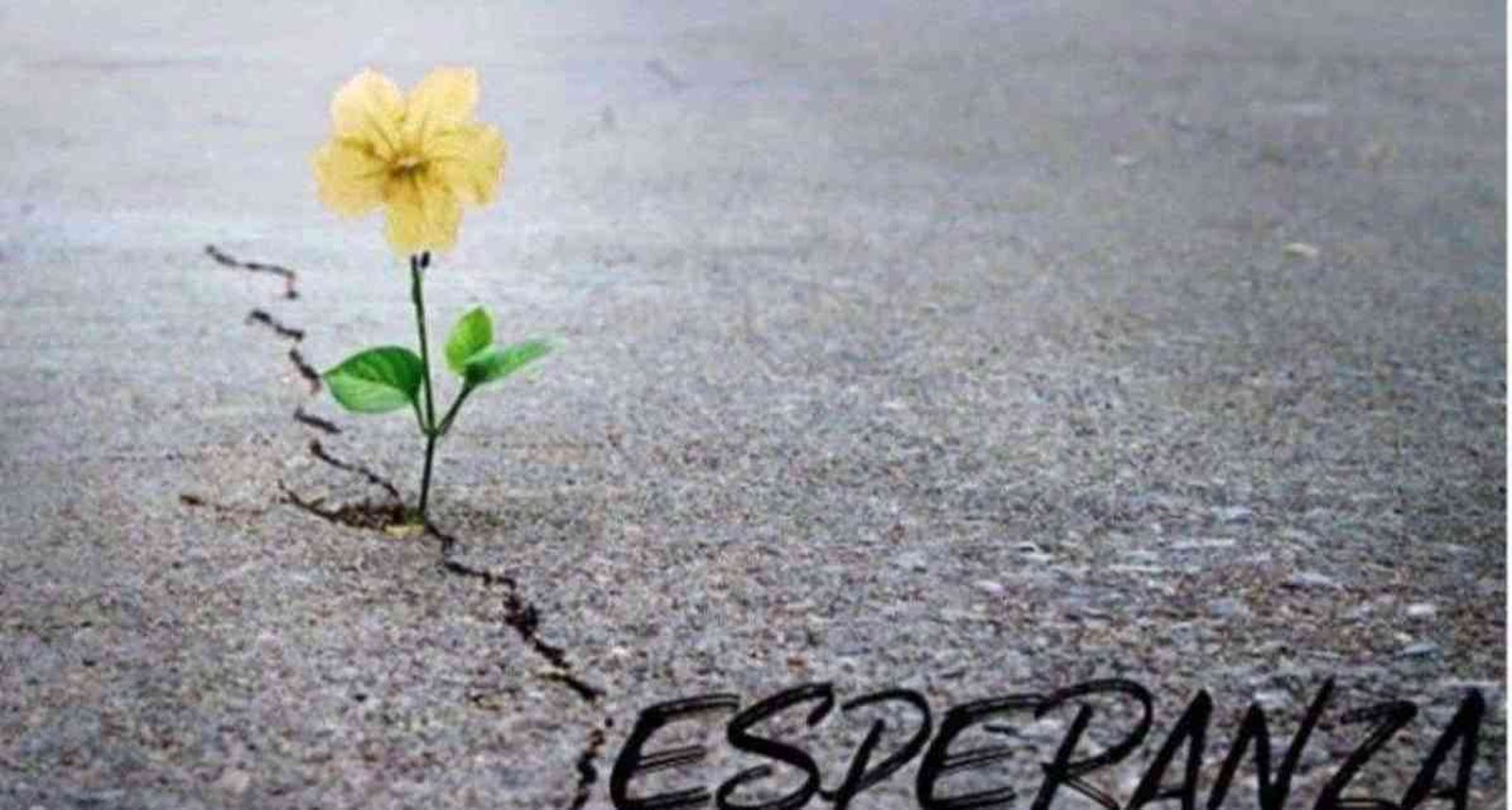 Vivir la esperanza del adviento en tiempos de pandemia