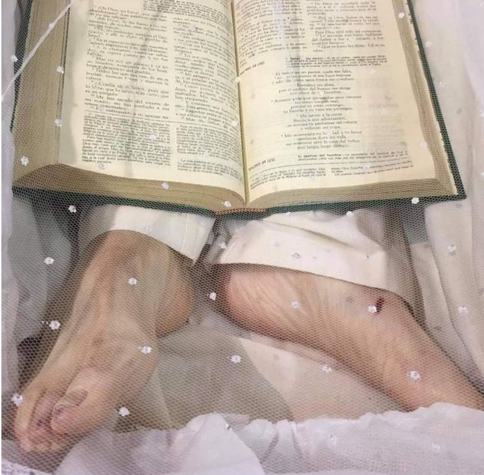 La Biblia, a los pies de Casaldáliga