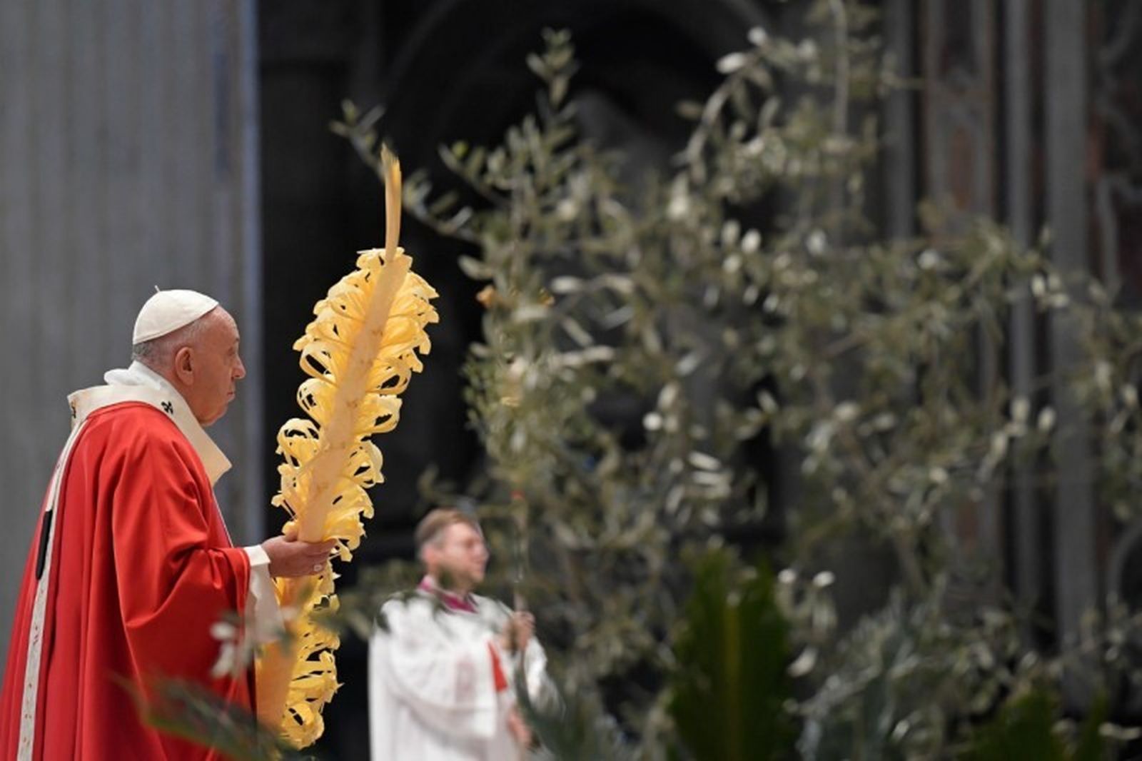Ppalma del Papa para el Domingo de Ramos