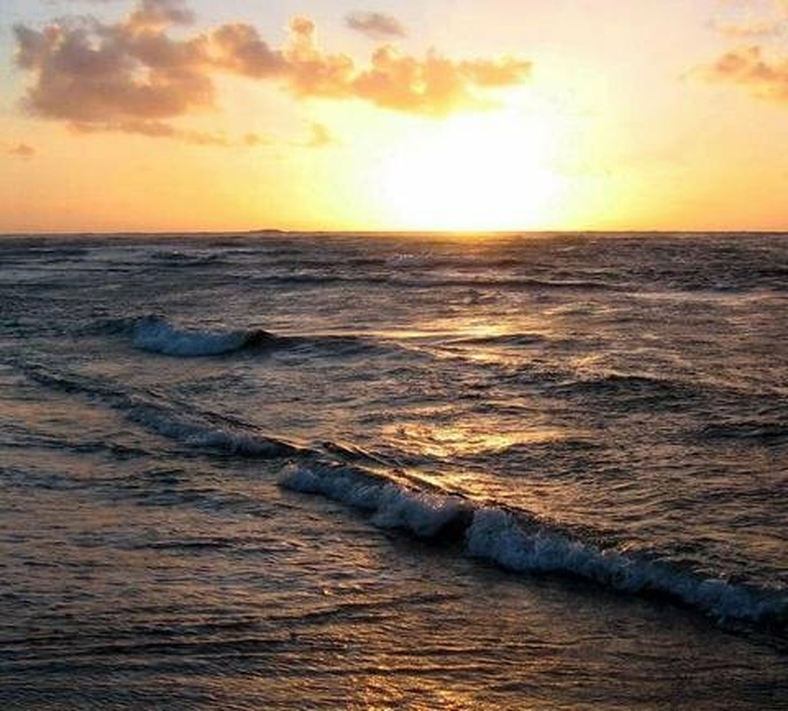 Mar adentro, por una muerte digna