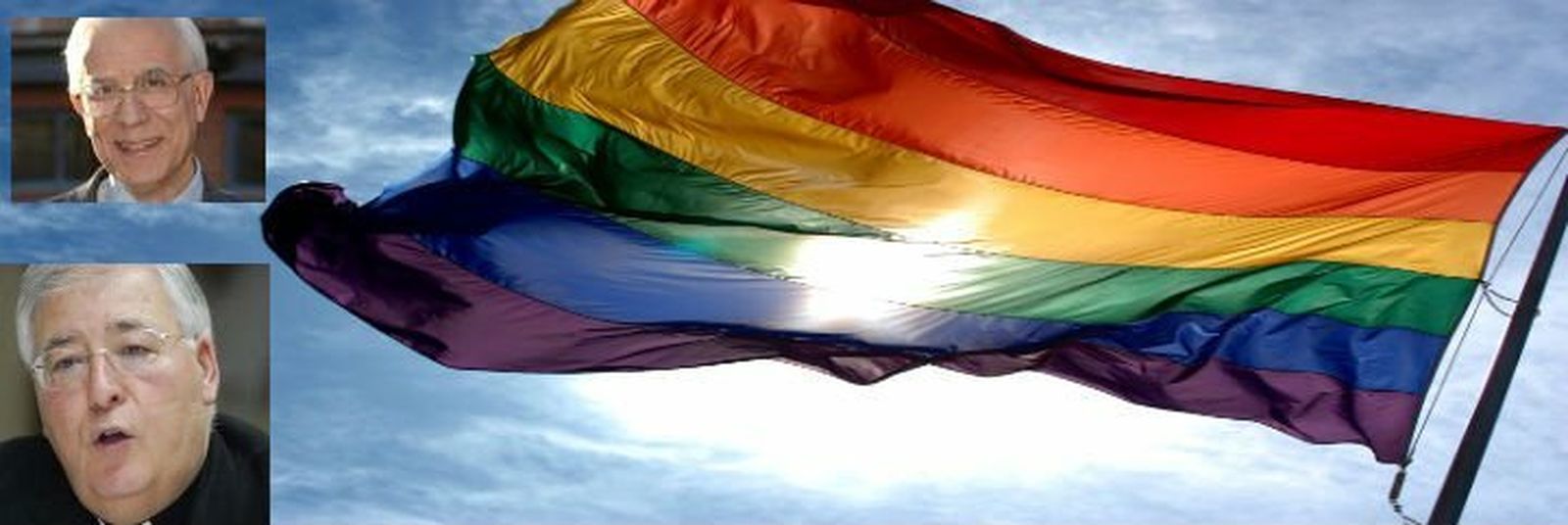 Bandera homosexual