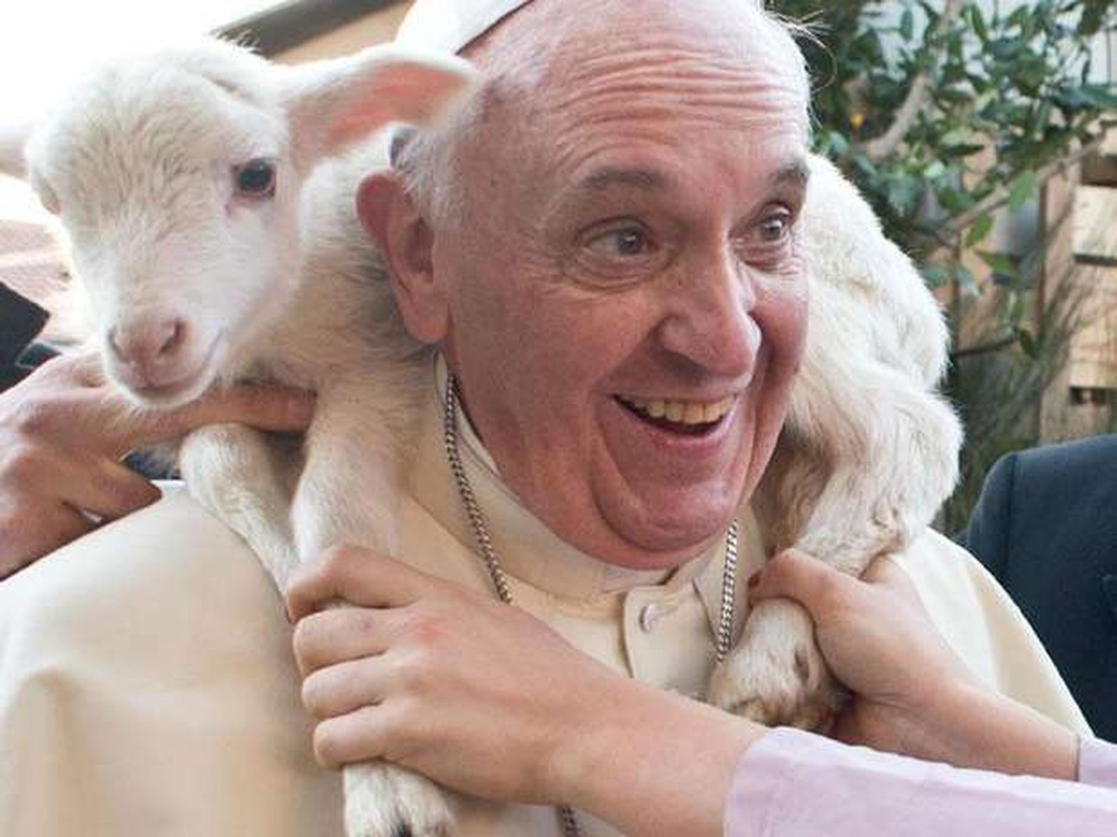 Papa