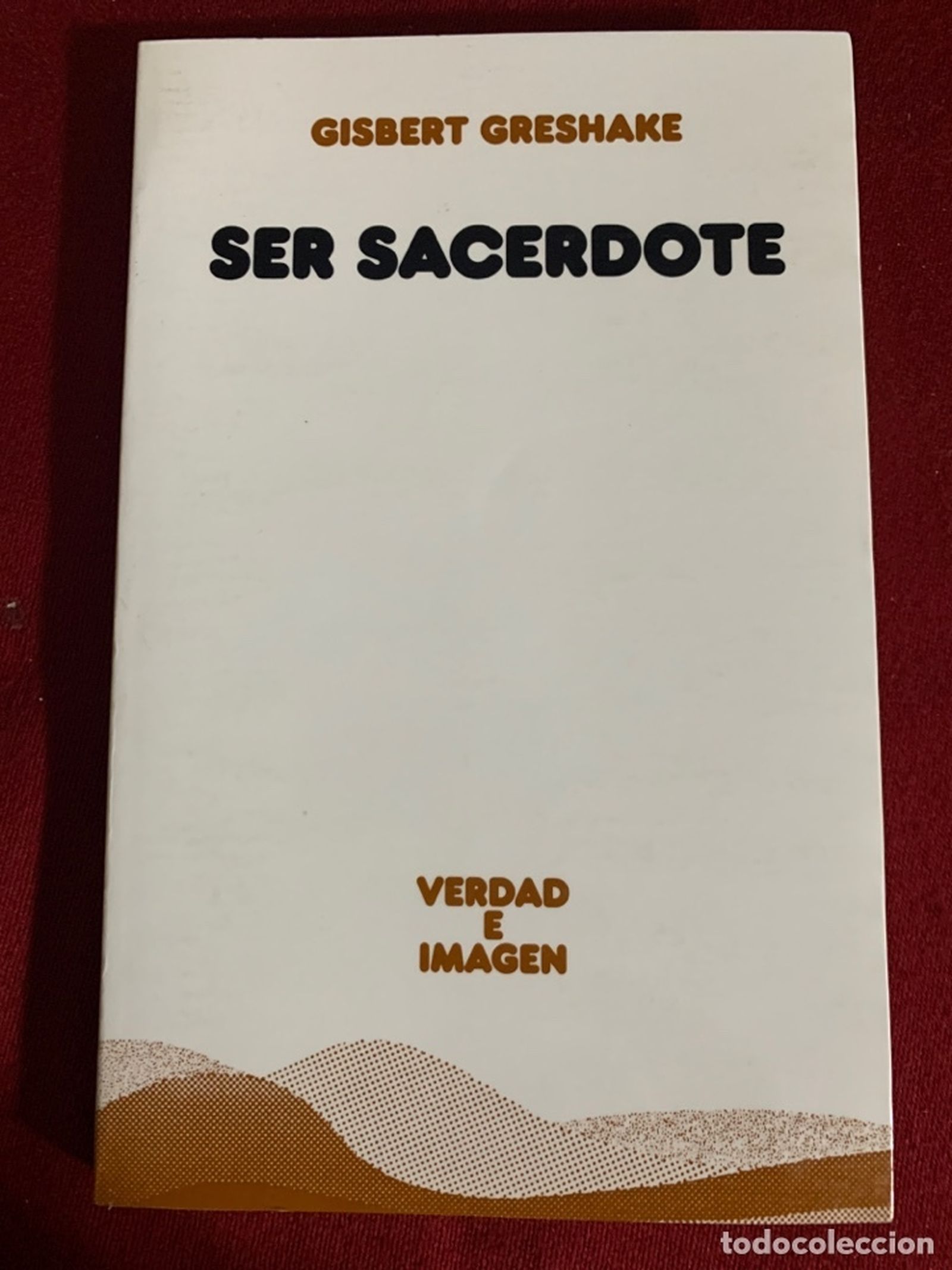 Amar la  comunidad y caminar con ella: el ser de nuestro ministerio