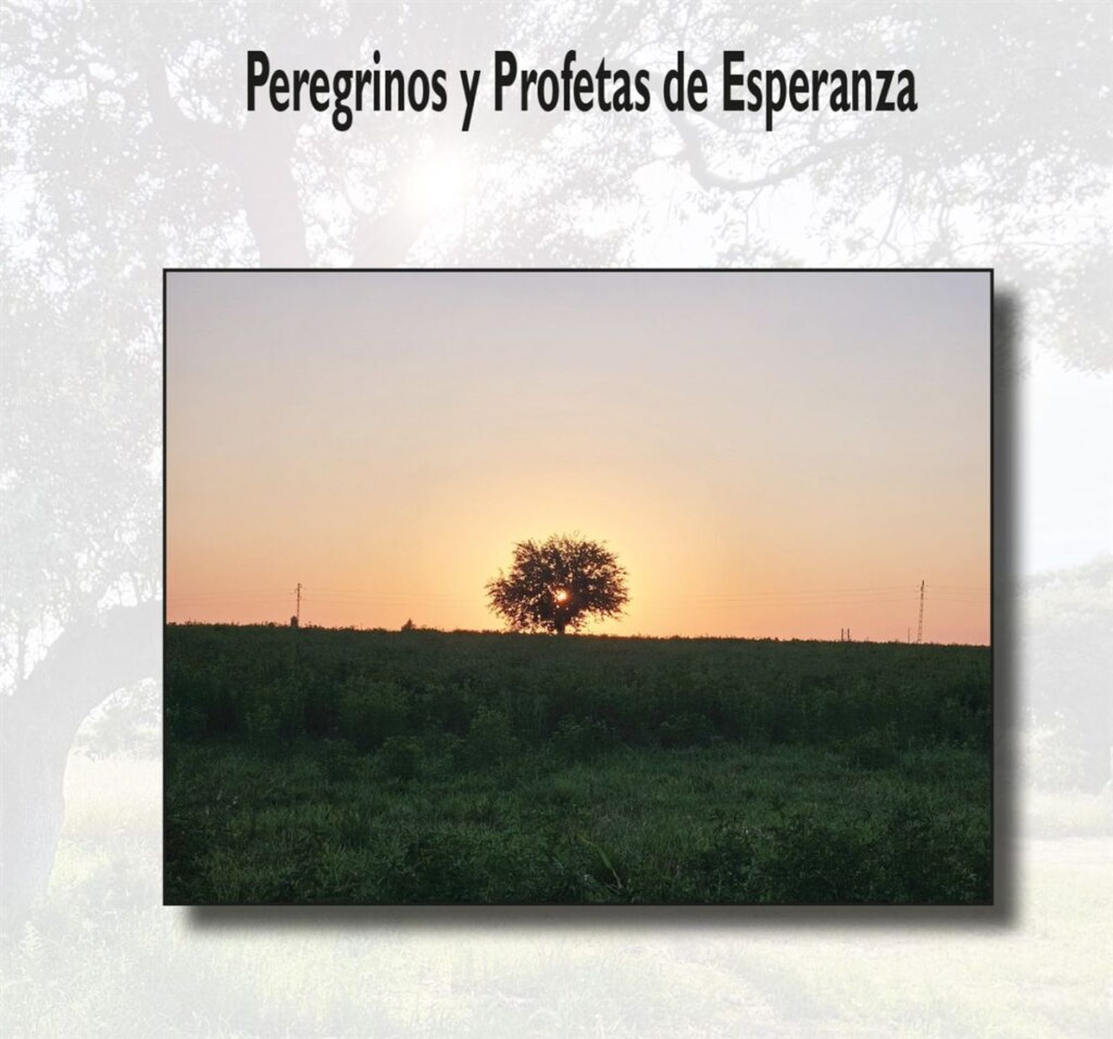 Yo confieso: soy vulnerable