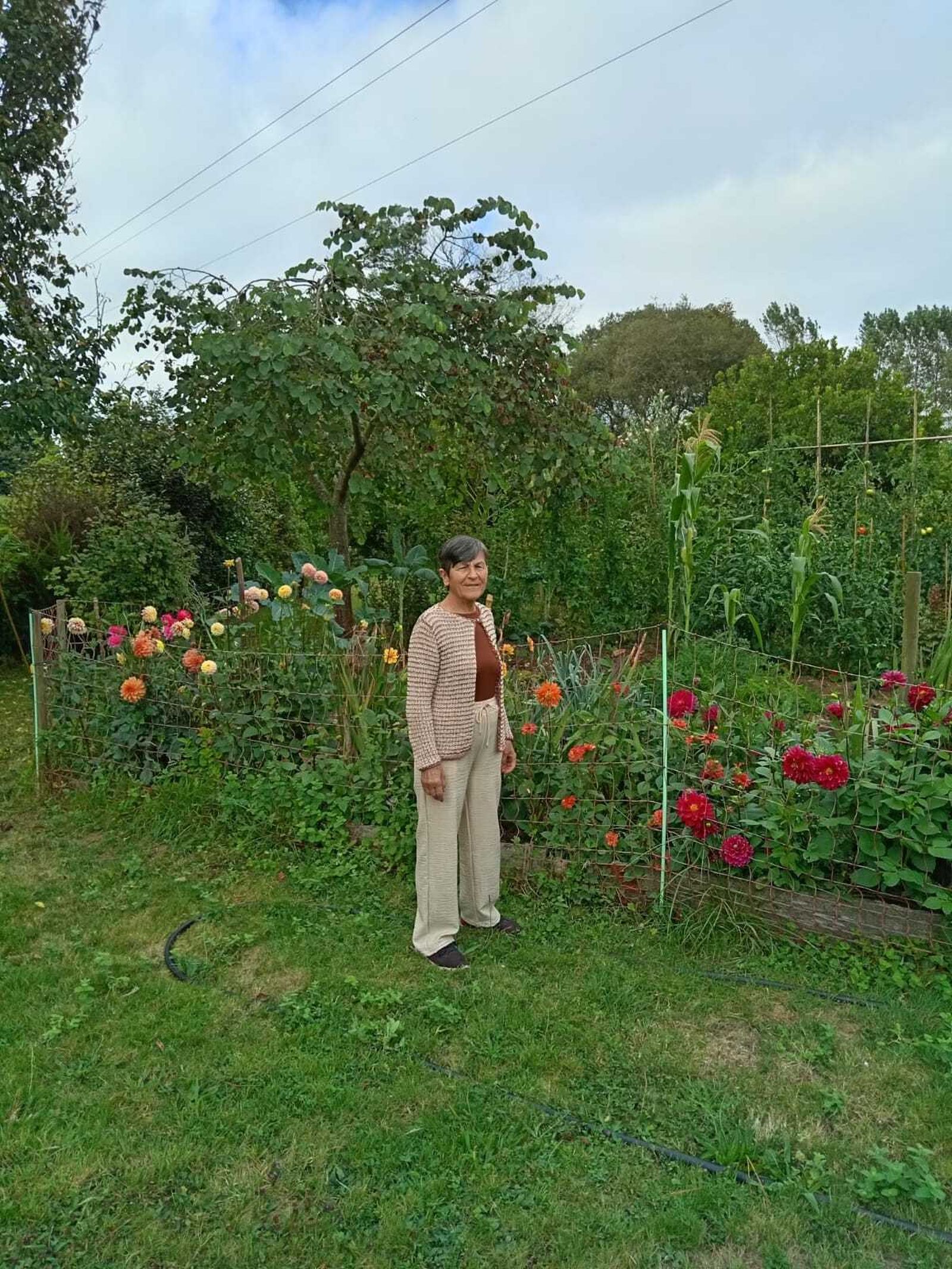 Modesta Campo Valiña