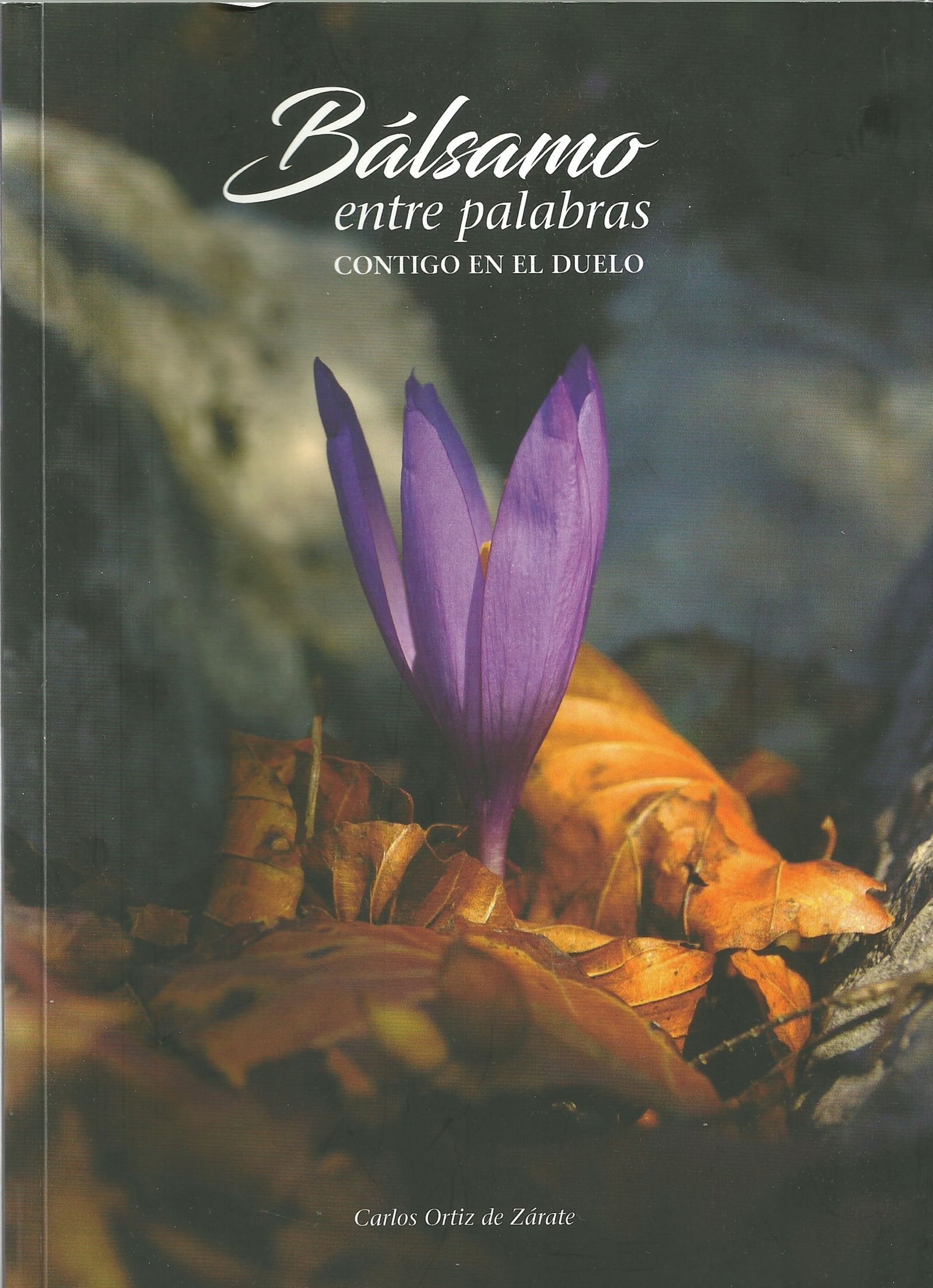 “Bálsamo entre palabras. Contigo en el Duelo” Un libro nacido en el confinamiento