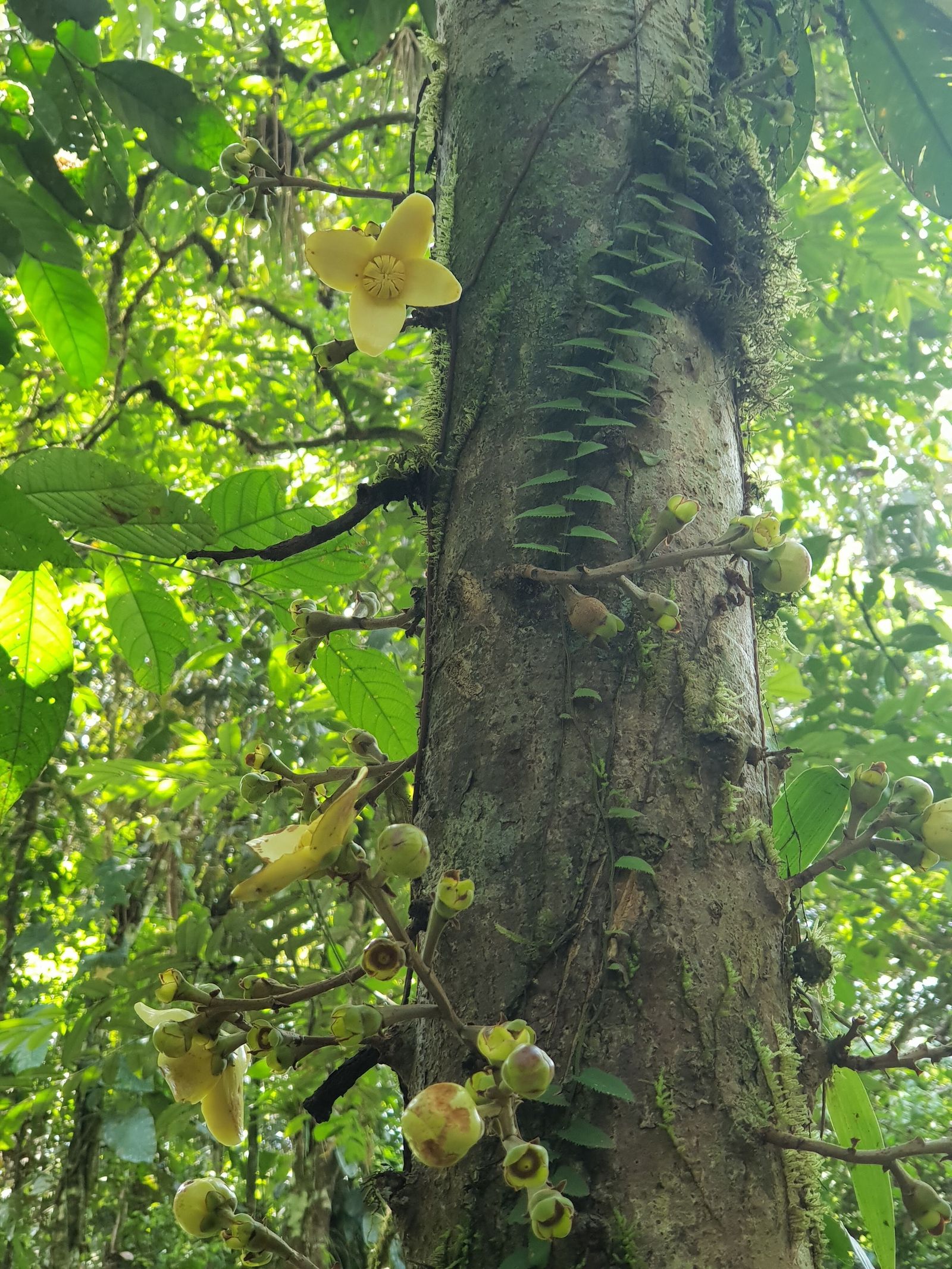 La pasión: “El amor nos da la identidad y la libertad”
