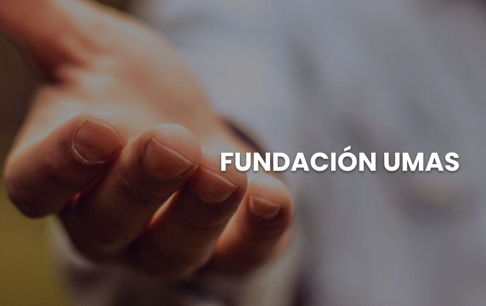 Fundacion UMAS