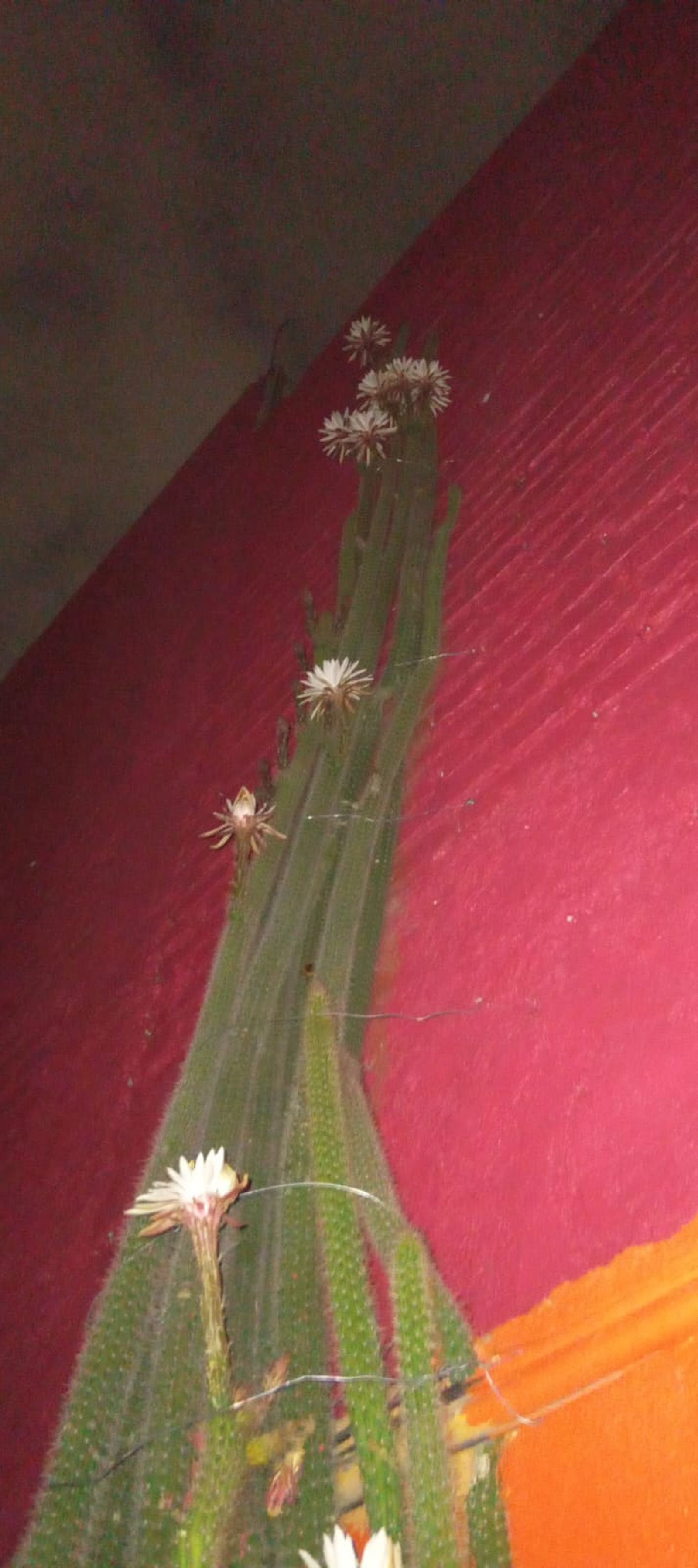 PHOTO-2024-05-10-02-33-12 2