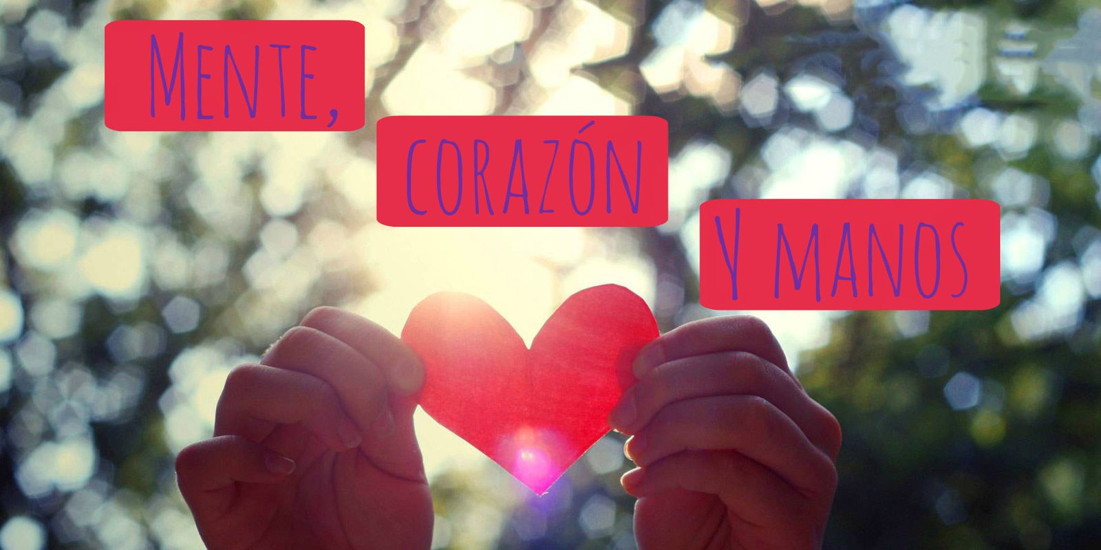 Mente, corazón y manos