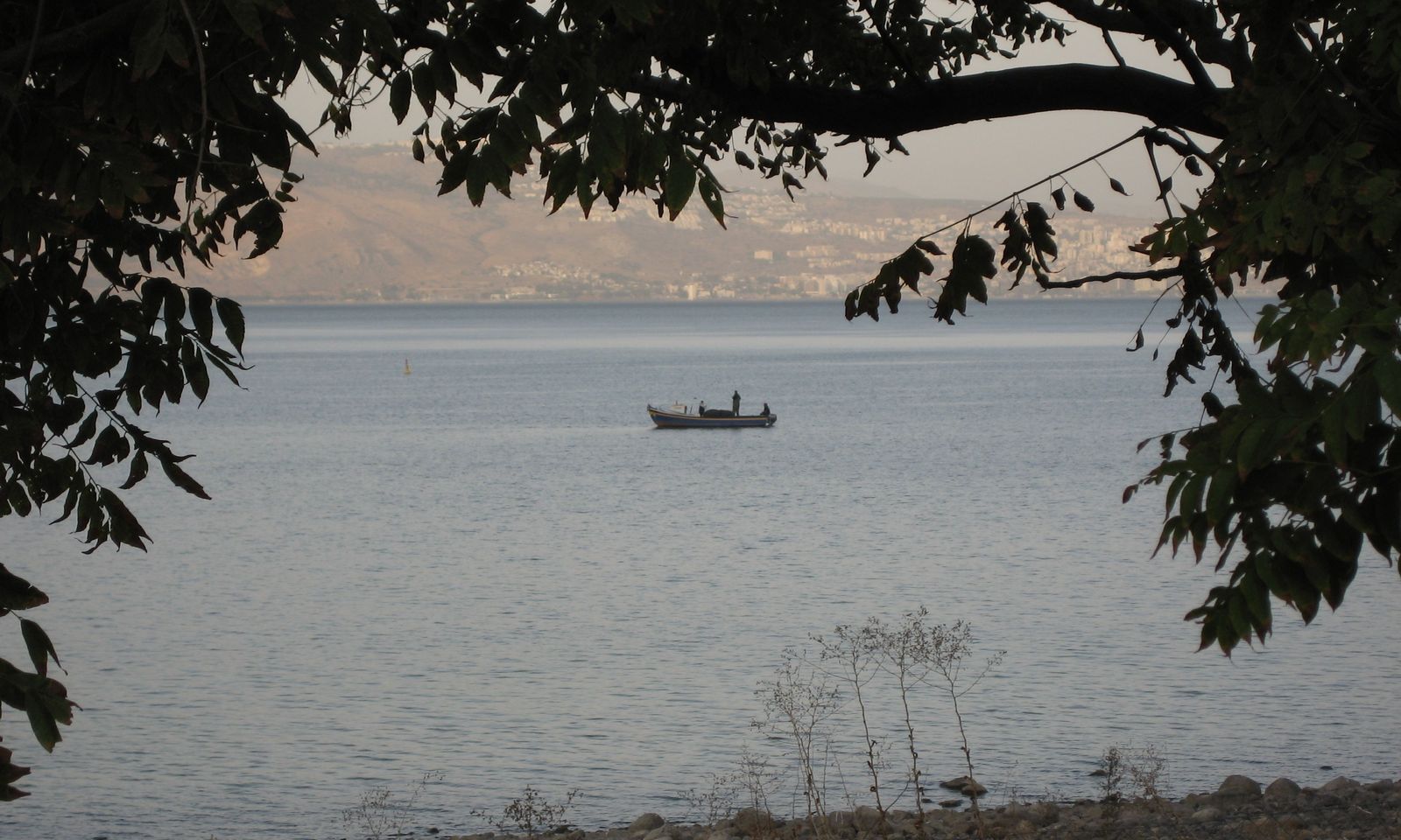 Camino de Luz, decimotercera etapa: Enviados
